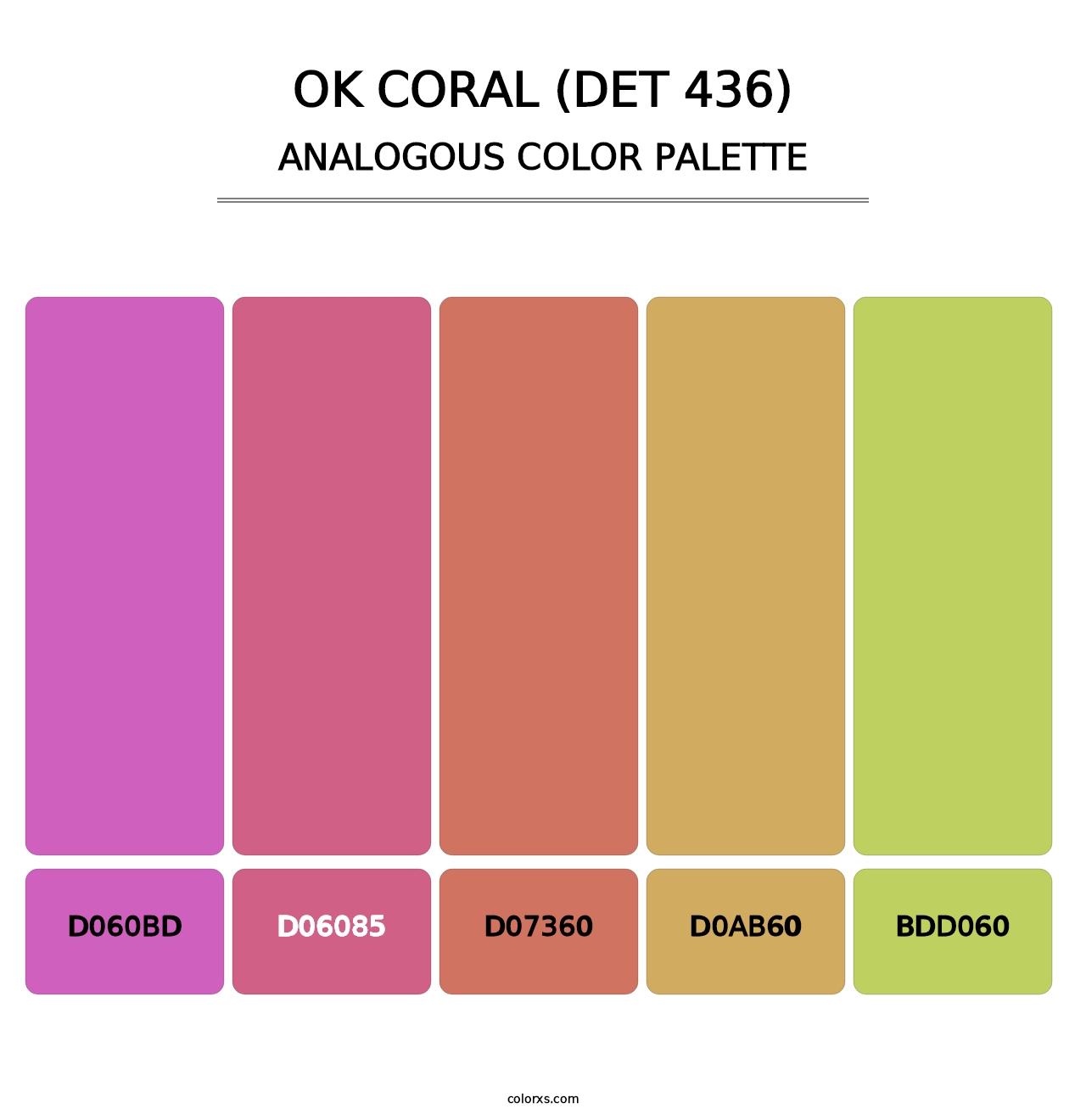 OK Coral (DET 436) - Analogous Color Palette