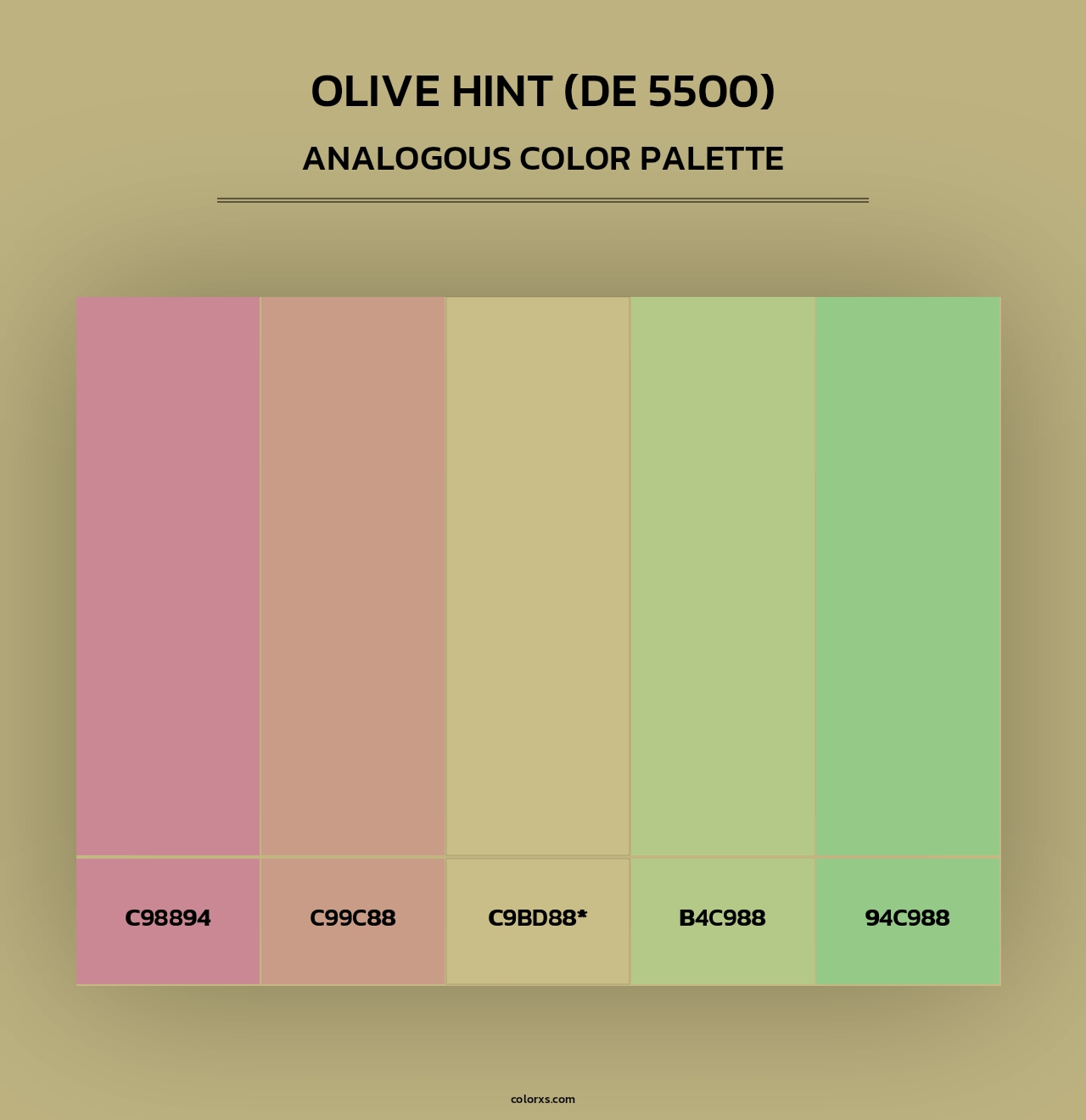 Olive Hint (DE 5500) - Analogous Color Palette