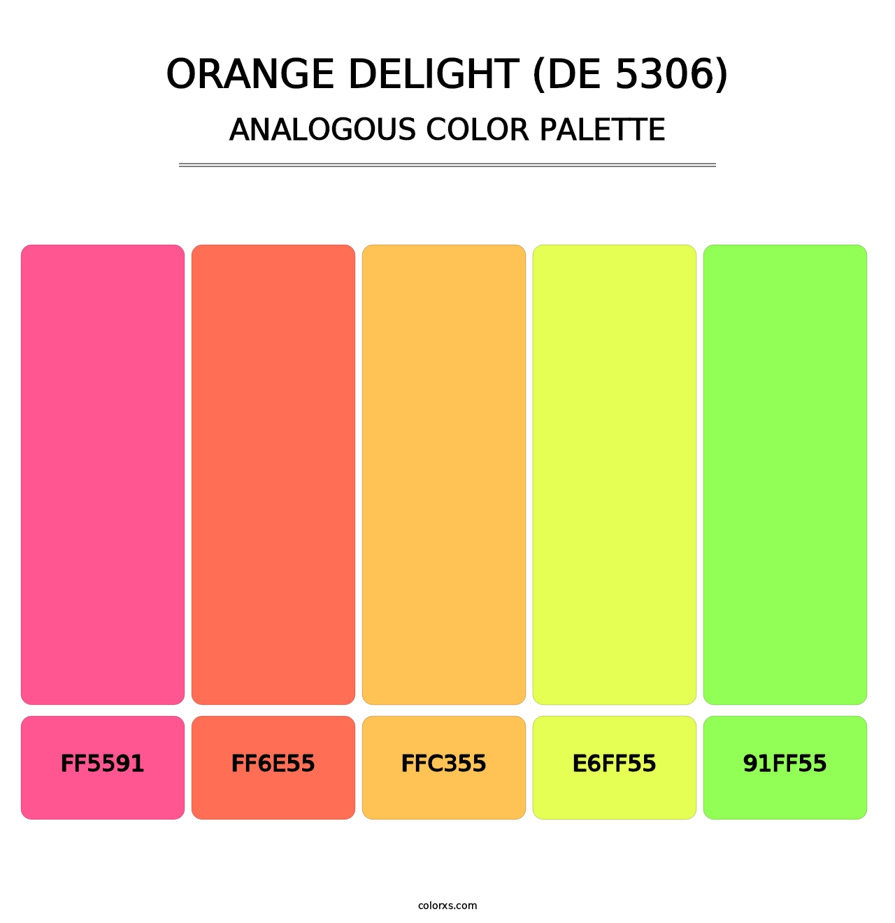 Orange Delight (DE 5306) - Analogous Color Palette