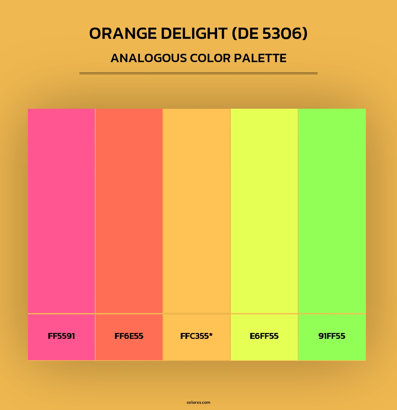 Orange Delight (DE 5306) - Analogous Color Palette