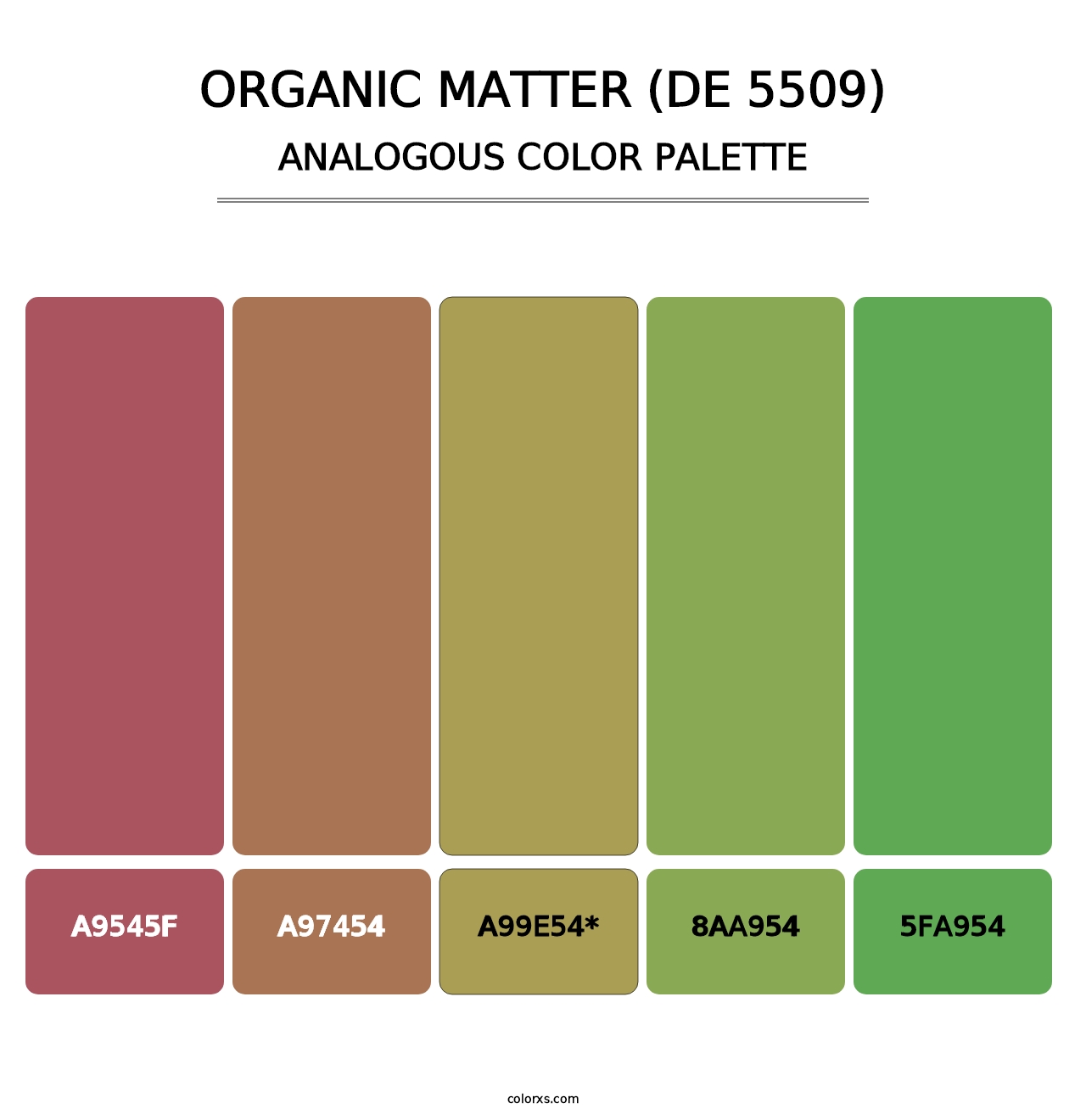 Organic Matter (DE 5509) - Analogous Color Palette