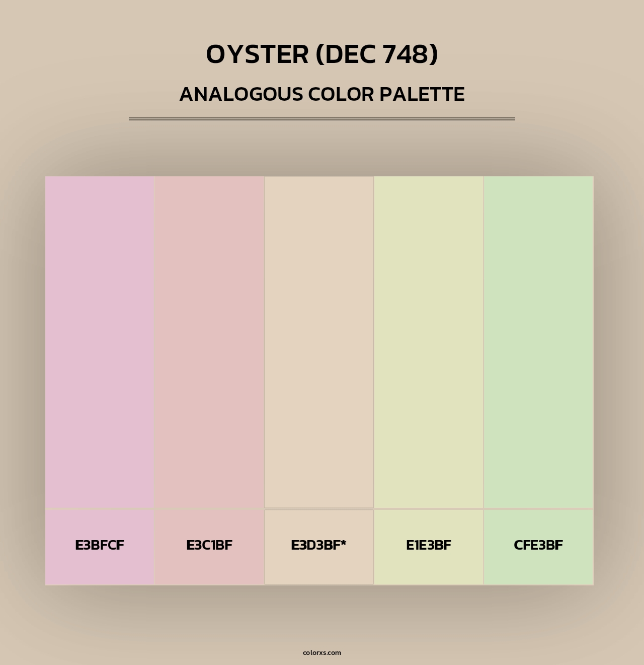 Oyster (DEC 748) - Analogous Color Palette