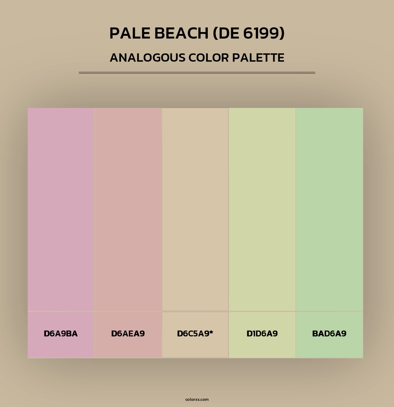 Pale Beach (DE 6199) - Analogous Color Palette