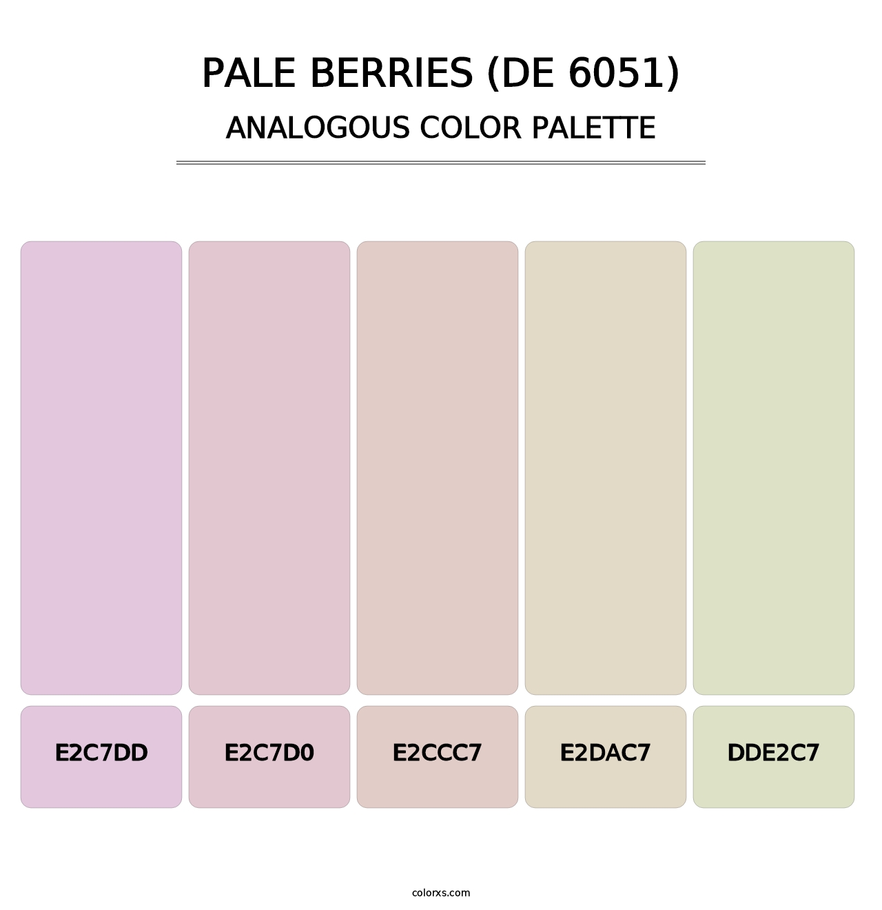 Pale Berries (DE 6051) - Analogous Color Palette