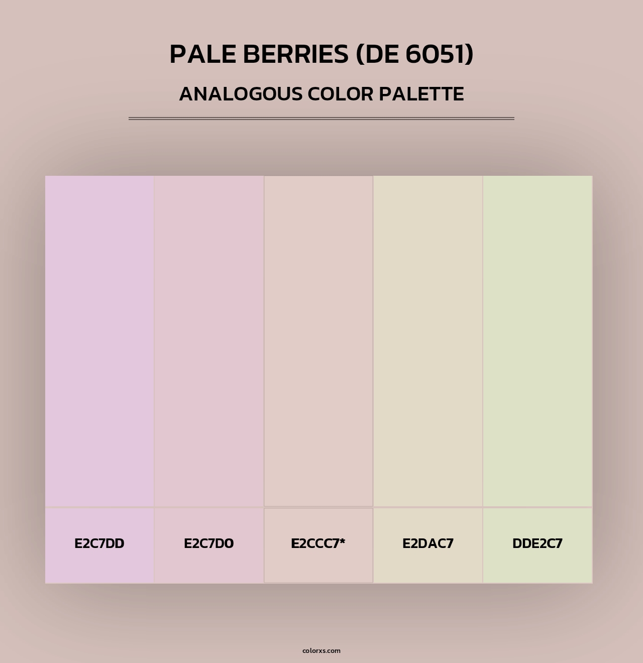 Pale Berries (DE 6051) - Analogous Color Palette