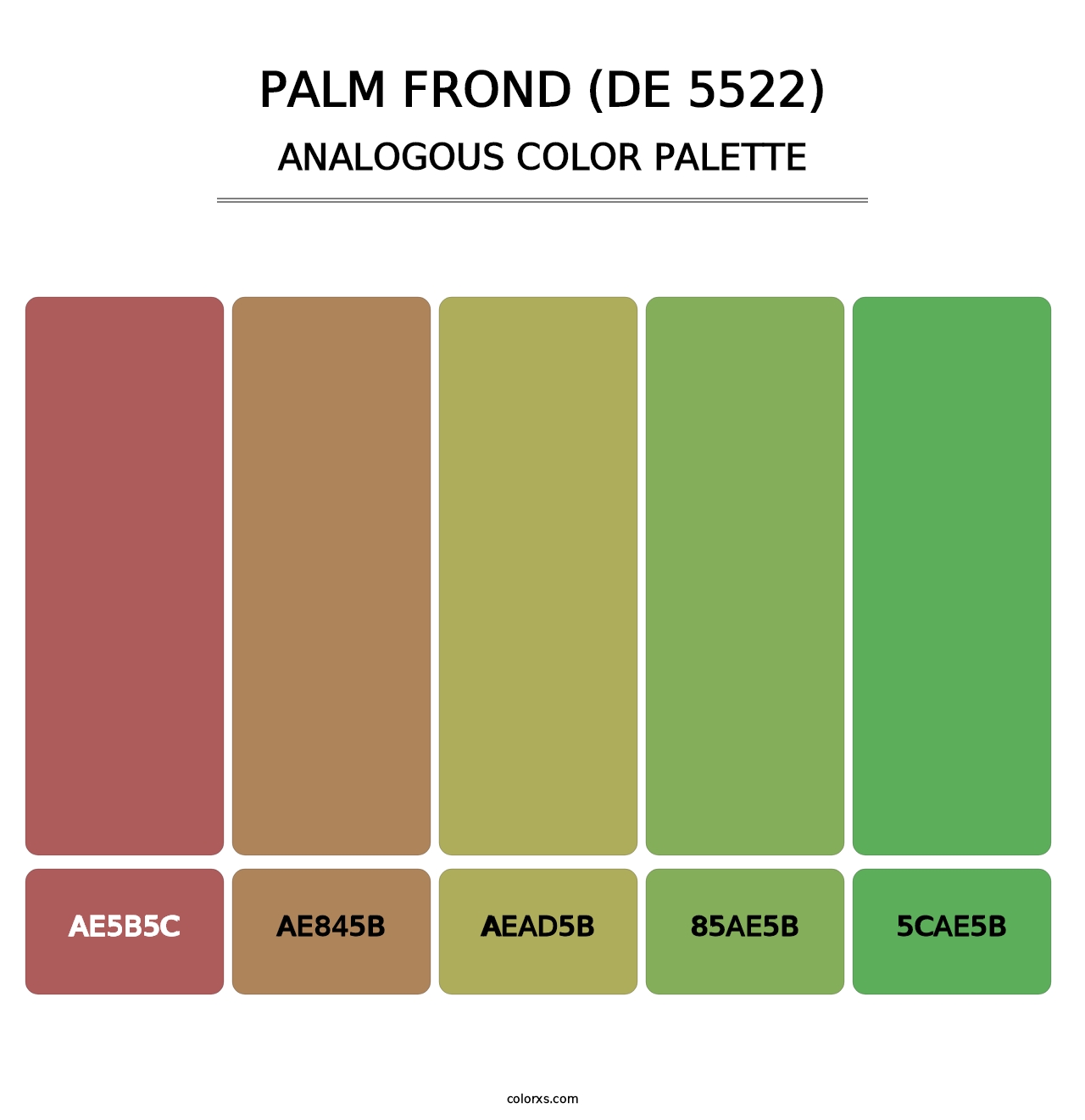 Palm Frond (DE 5522) - Analogous Color Palette