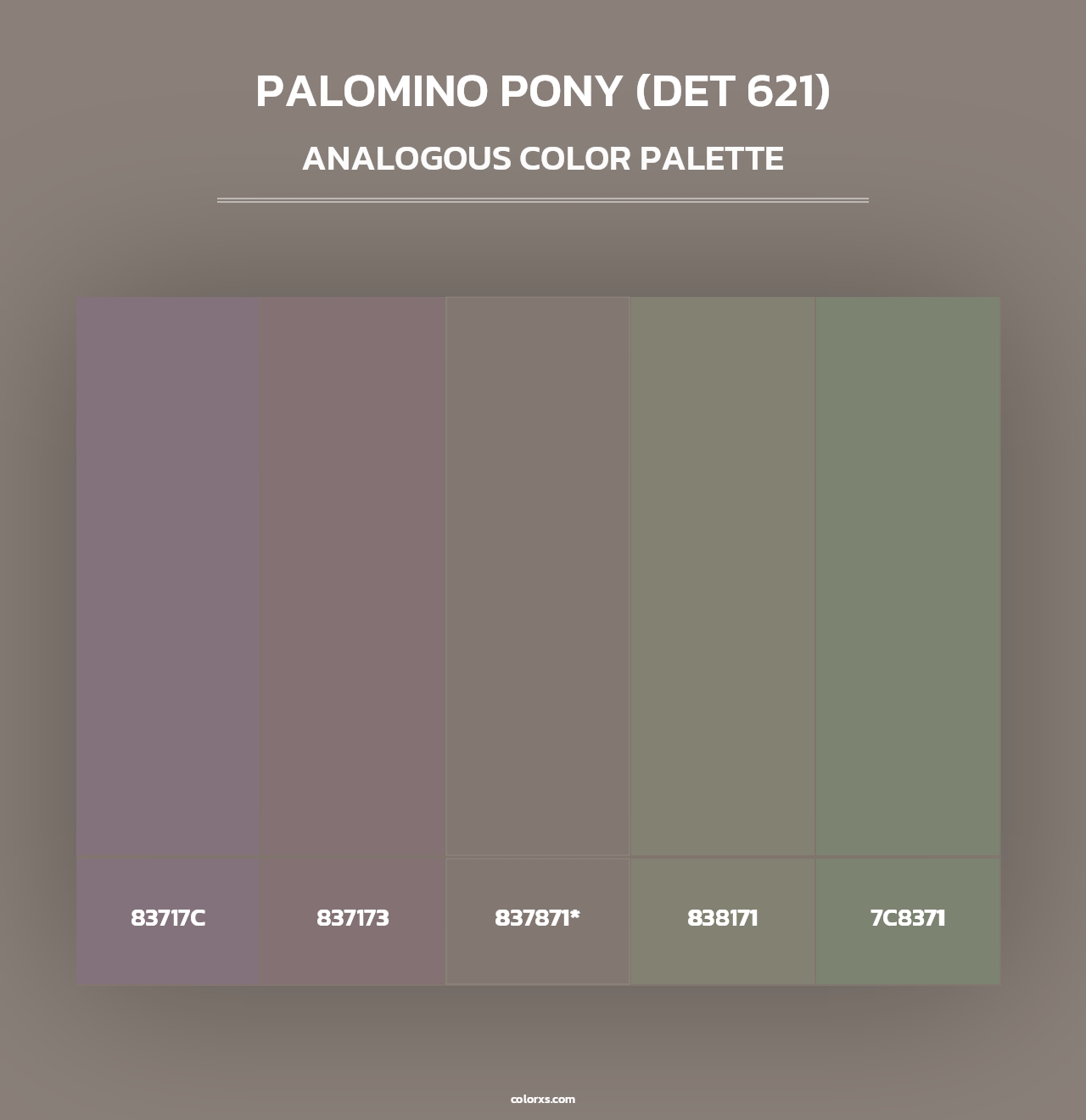 Palomino Pony (DET 621) - Analogous Color Palette