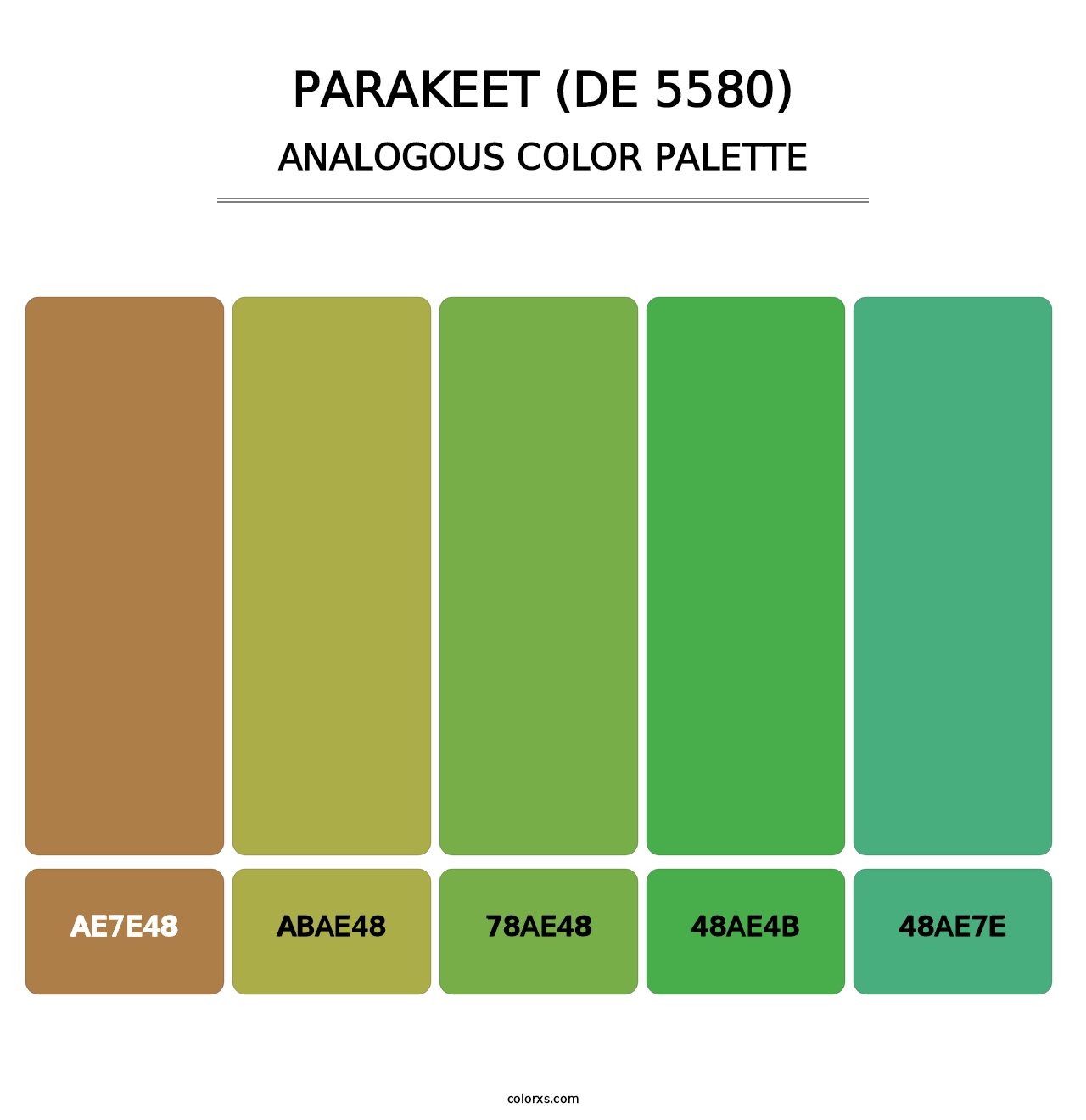 Parakeet (DE 5580) - Analogous Color Palette