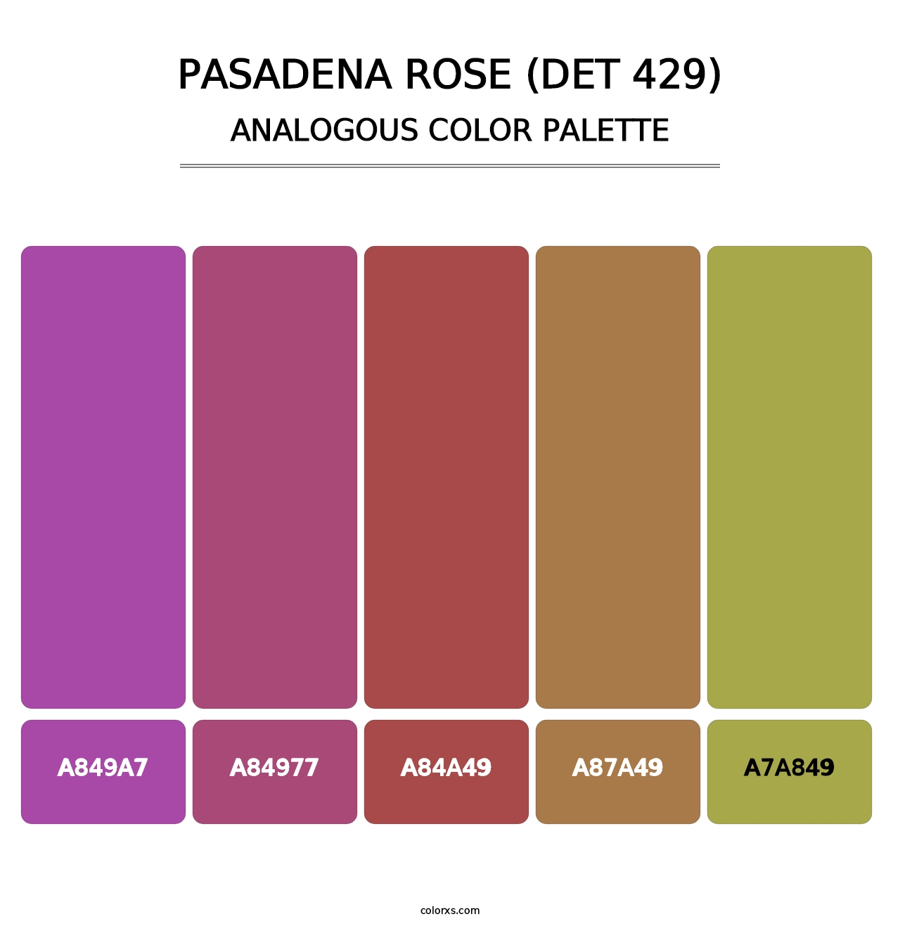 Pasadena Rose (DET 429) - Analogous Color Palette