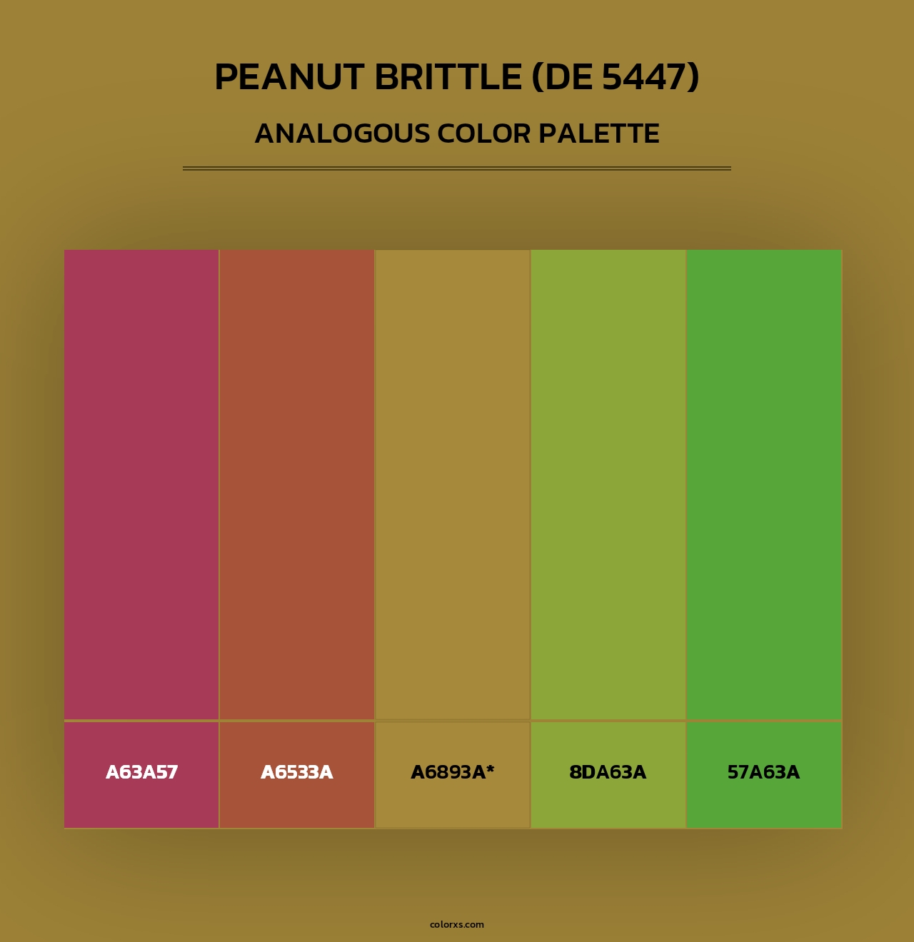 Peanut Brittle (DE 5447) - Analogous Color Palette