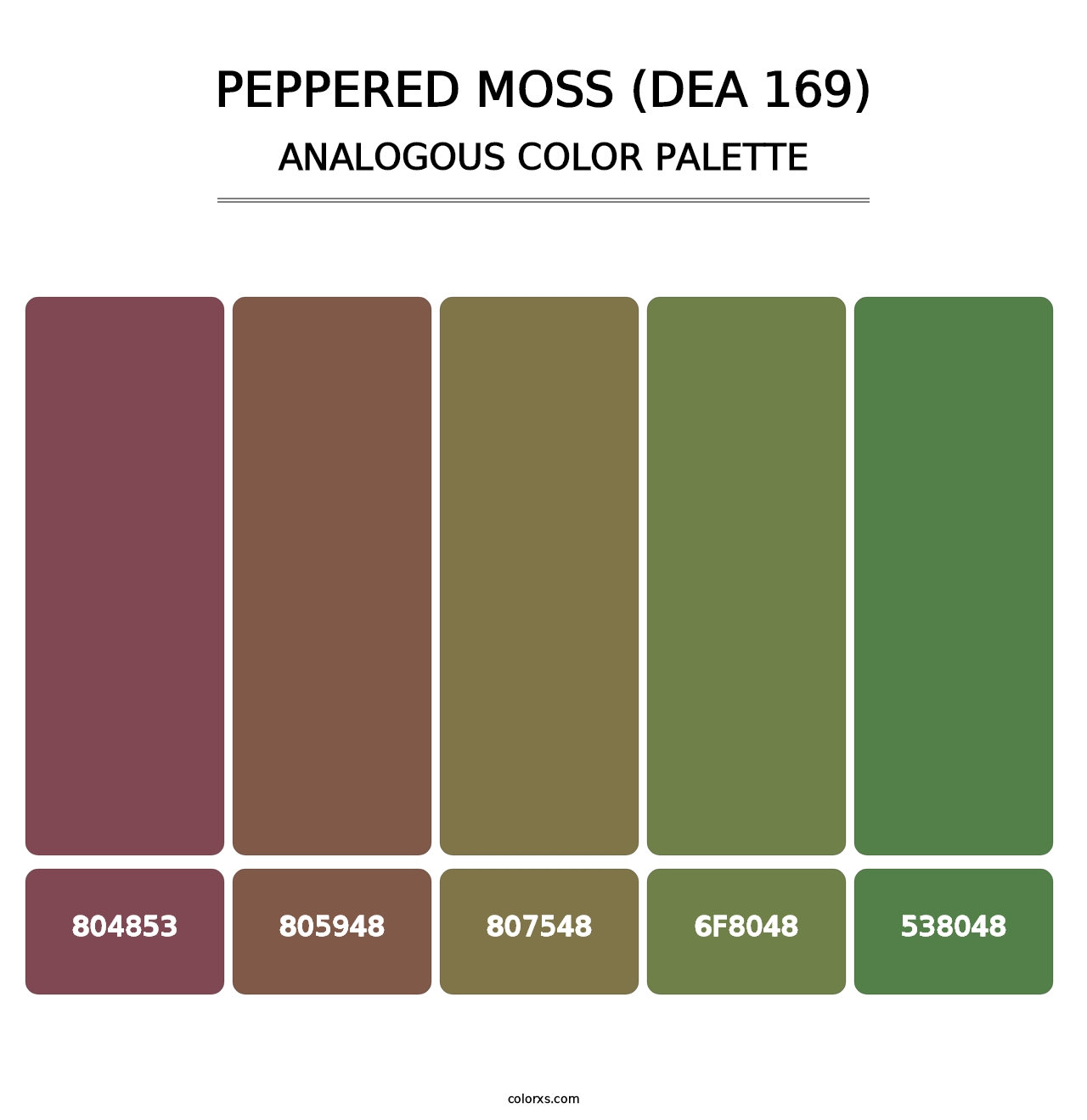 Peppered Moss (DEA 169) - Analogous Color Palette