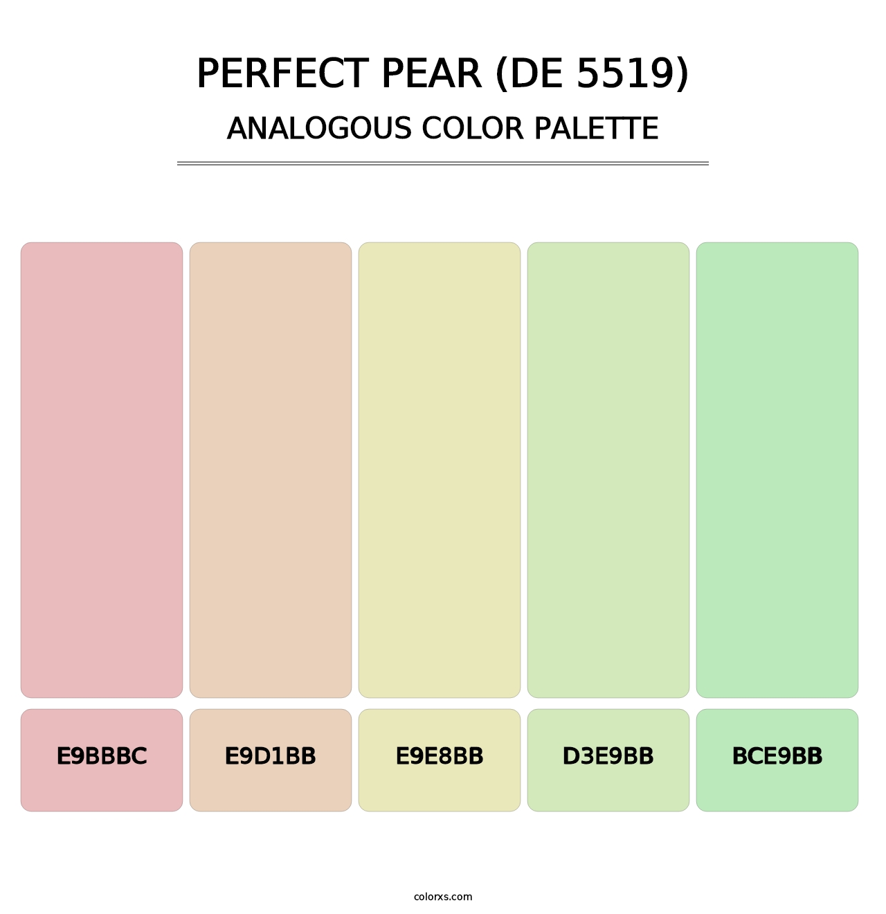 Perfect Pear (DE 5519) - Analogous Color Palette