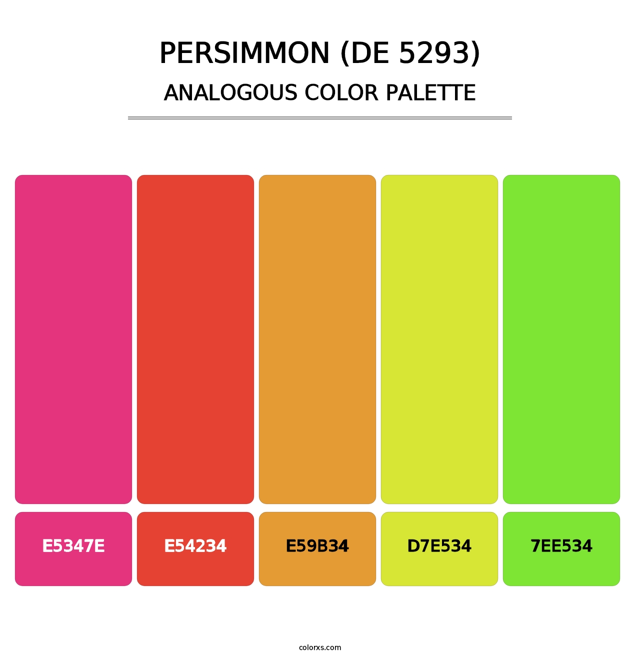 Persimmon (DE 5293) - Analogous Color Palette
