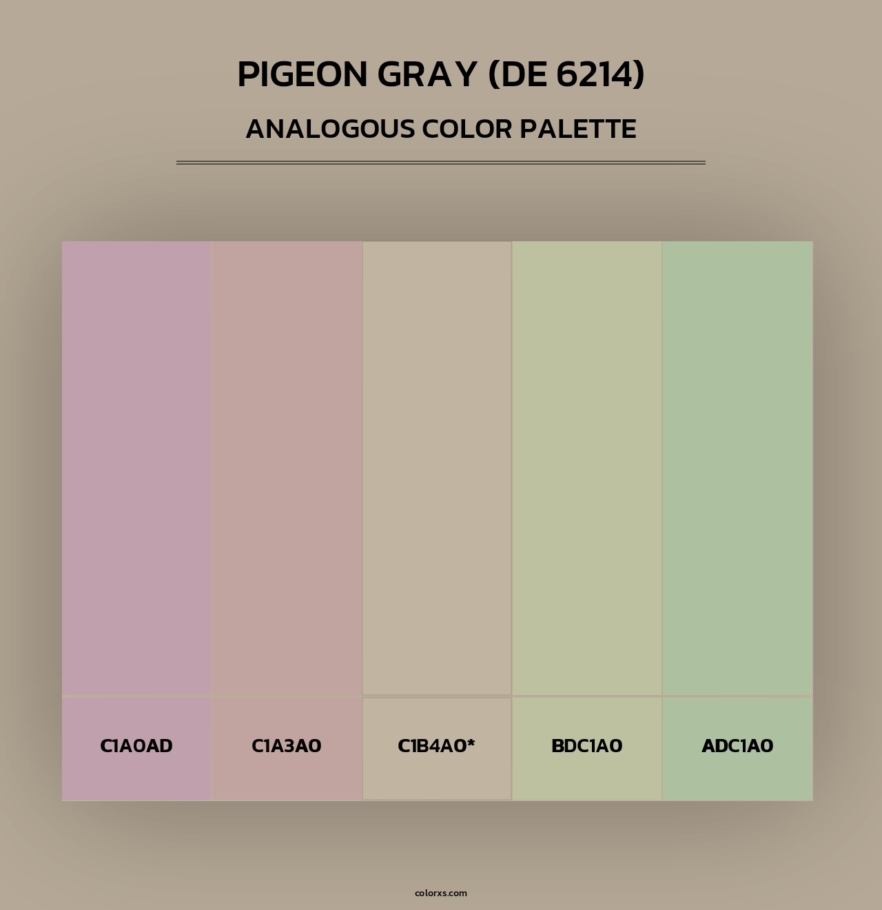 Pigeon Gray (DE 6214) - Analogous Color Palette