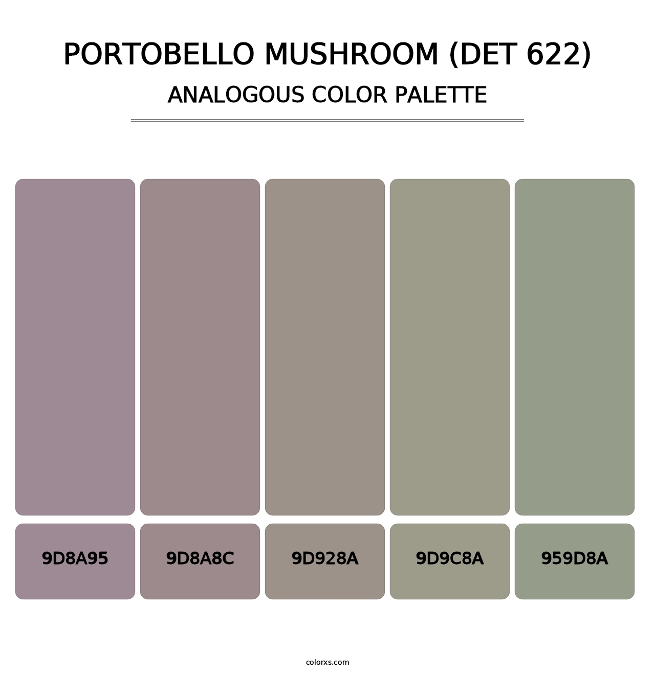 Portobello Mushroom (DET 622) - Analogous Color Palette