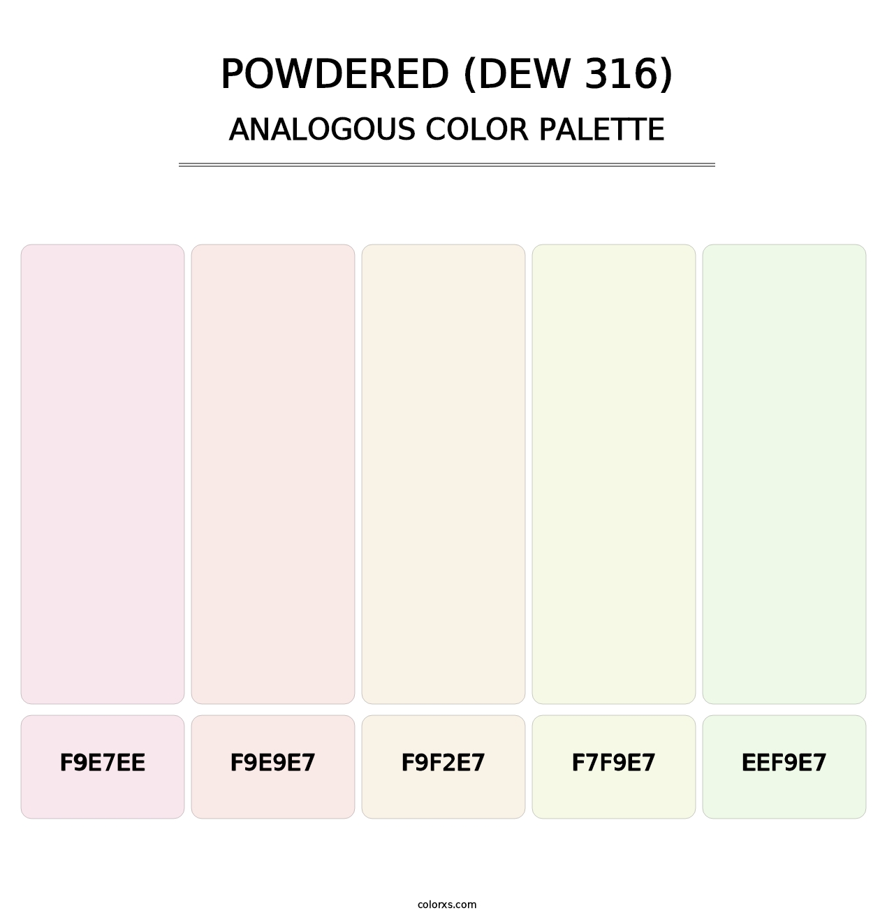 Powdered (DEW 316) - Analogous Color Palette
