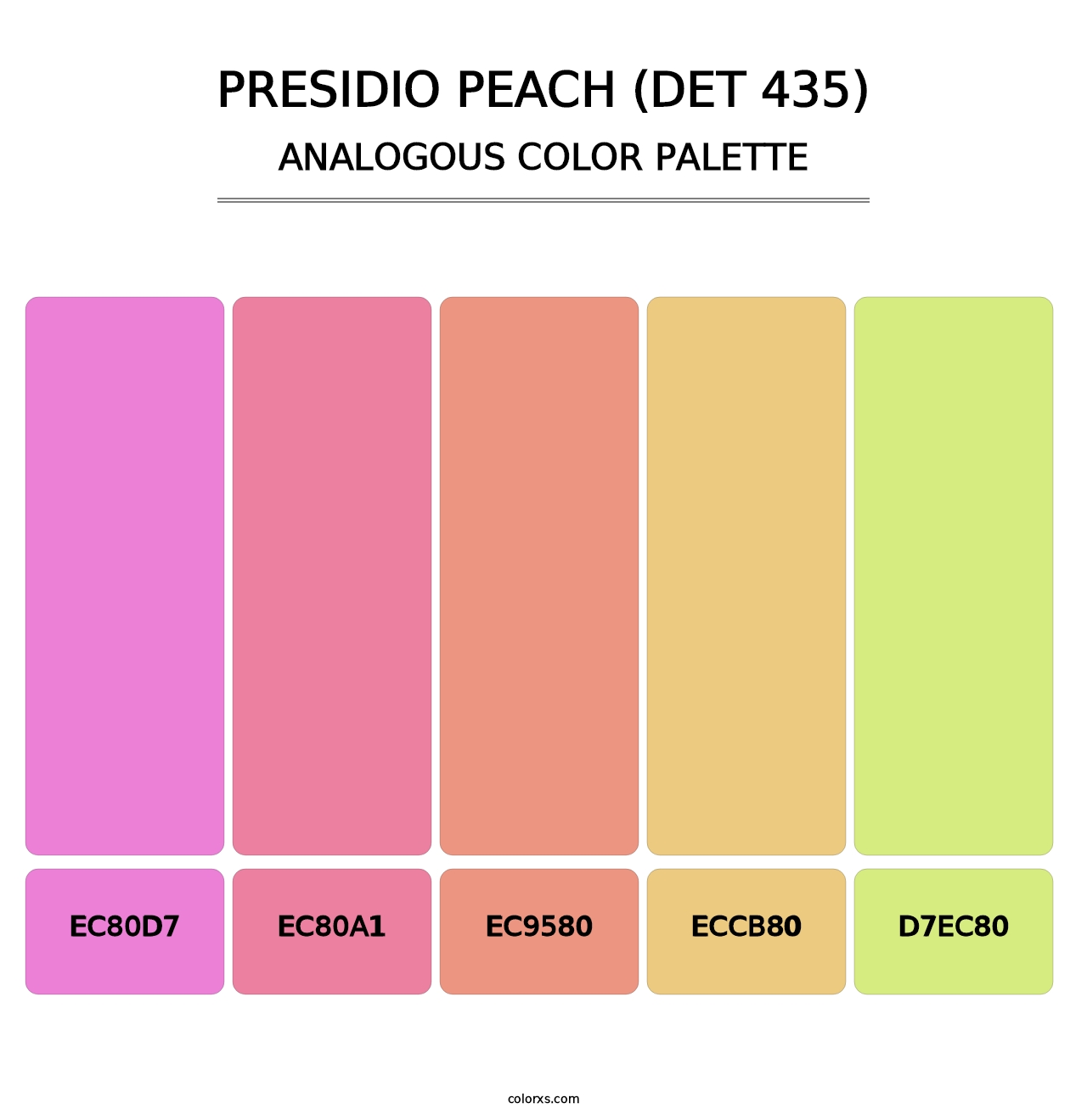 Presidio Peach (DET 435) - Analogous Color Palette