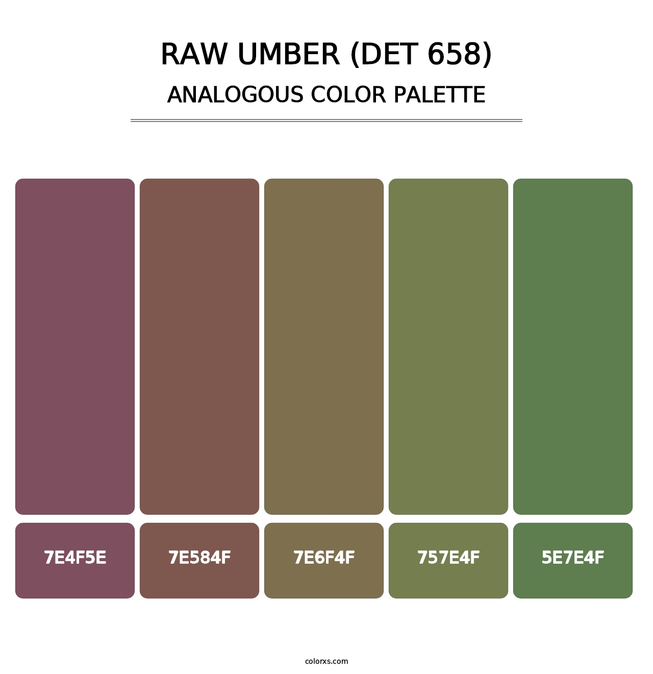 Raw Umber (DET 658) - Analogous Color Palette
