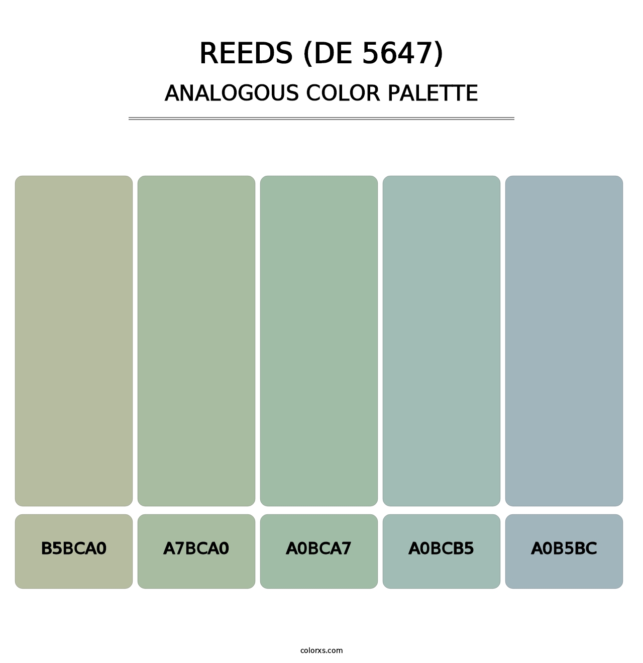 Reeds (DE 5647) - Analogous Color Palette