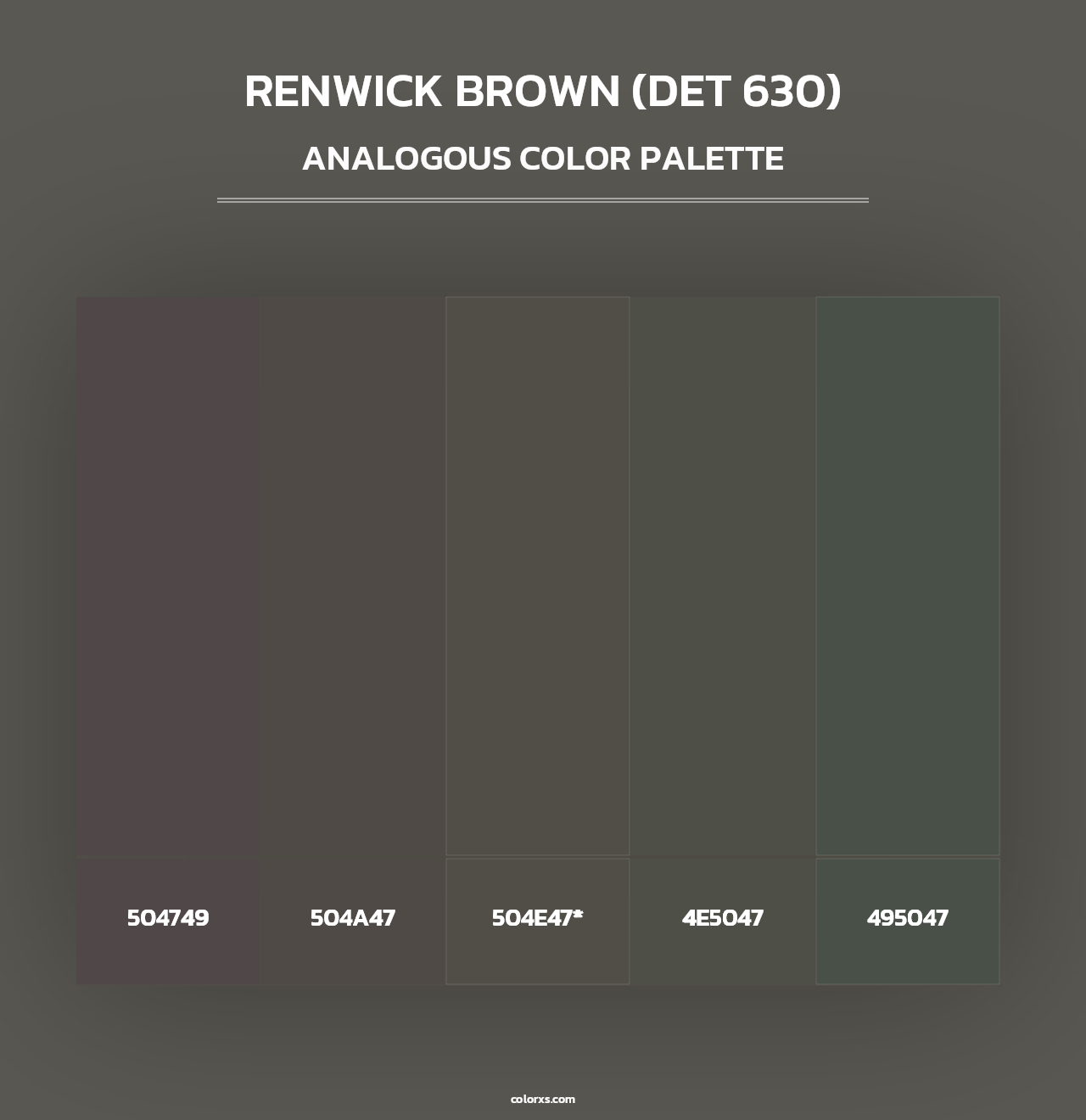 Renwick Brown (DET 630) - Analogous Color Palette