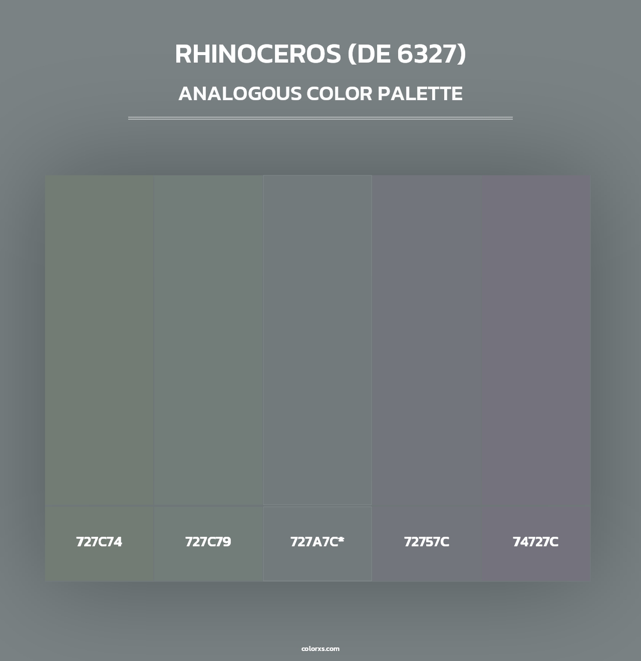 Rhinoceros (DE 6327) - Analogous Color Palette