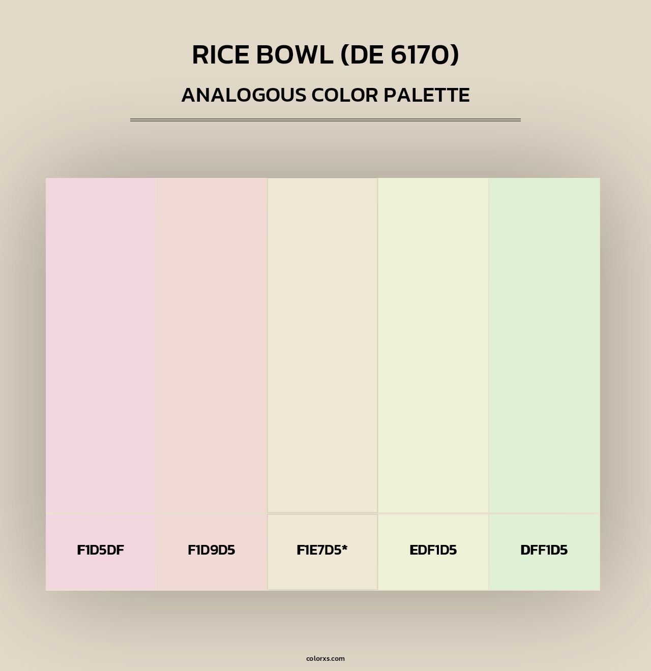 Rice Bowl (DE 6170) - Analogous Color Palette