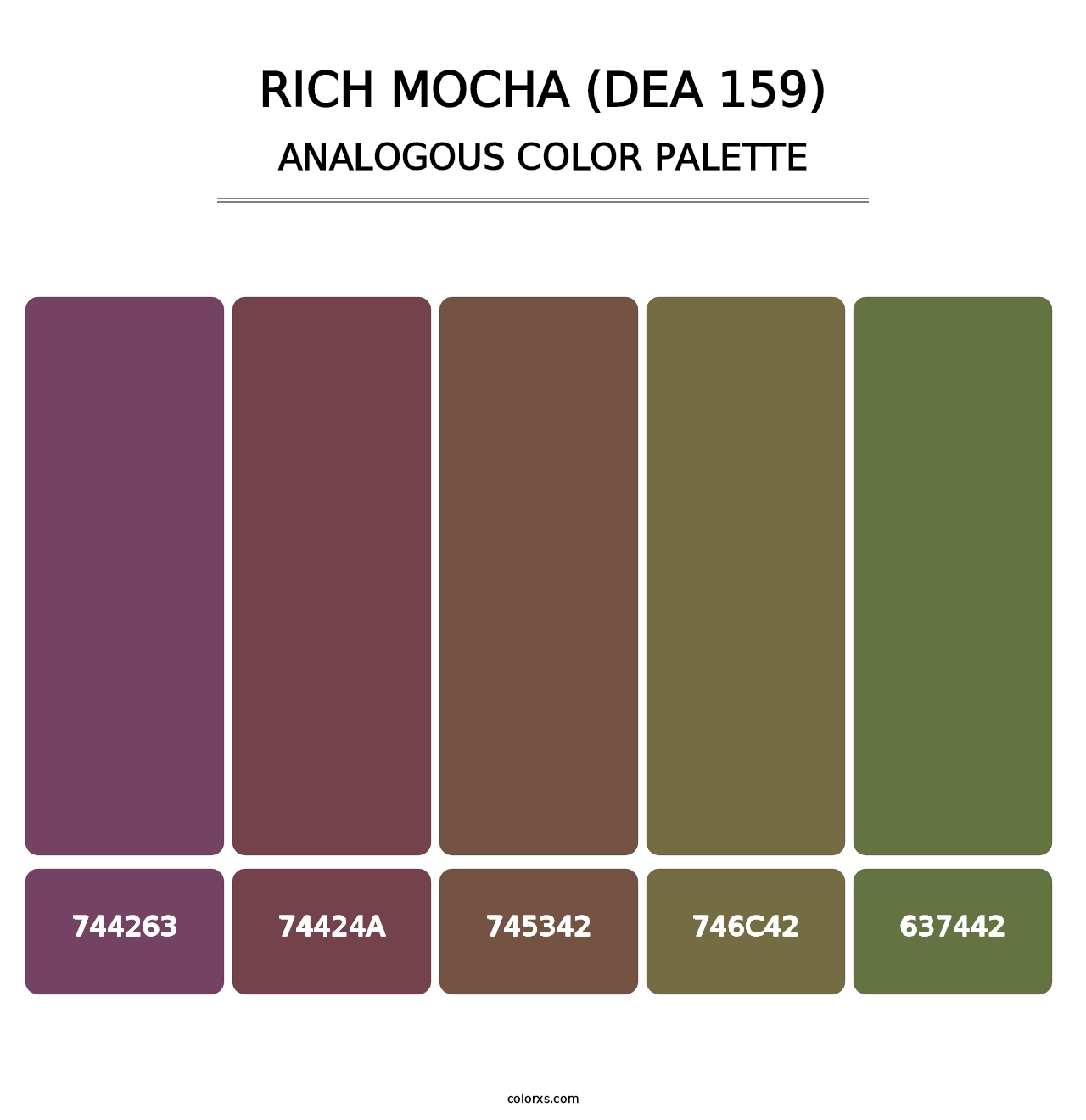 Rich Mocha (DEA 159) - Analogous Color Palette