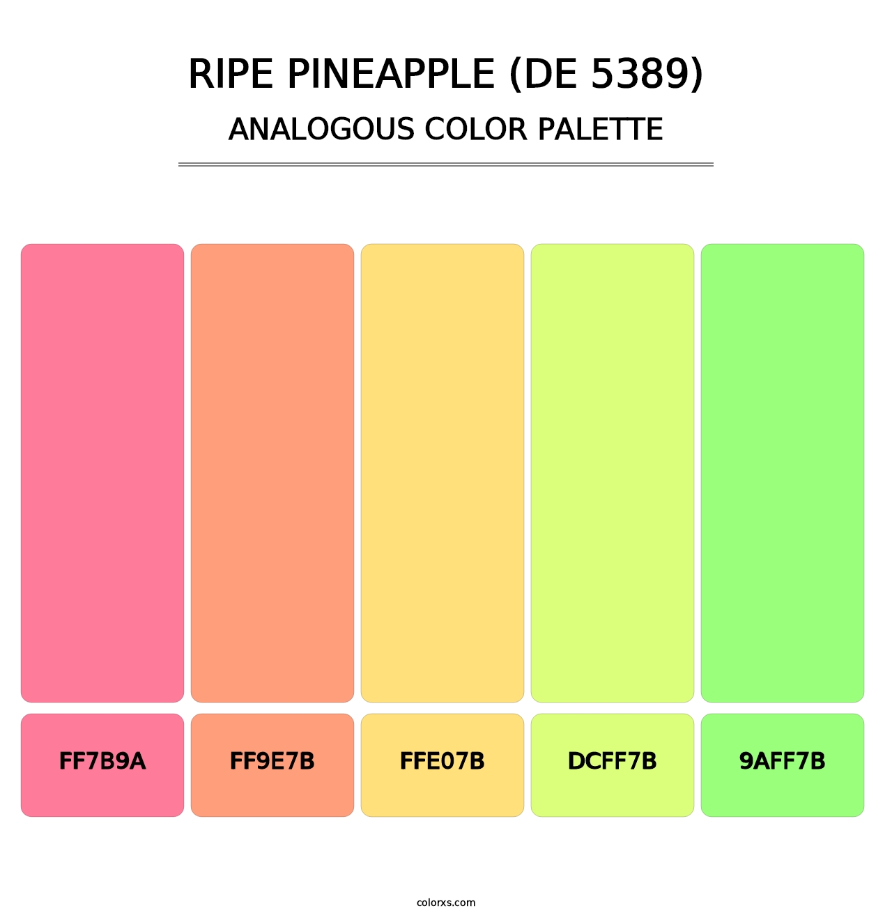 Ripe Pineapple (DE 5389) - Analogous Color Palette