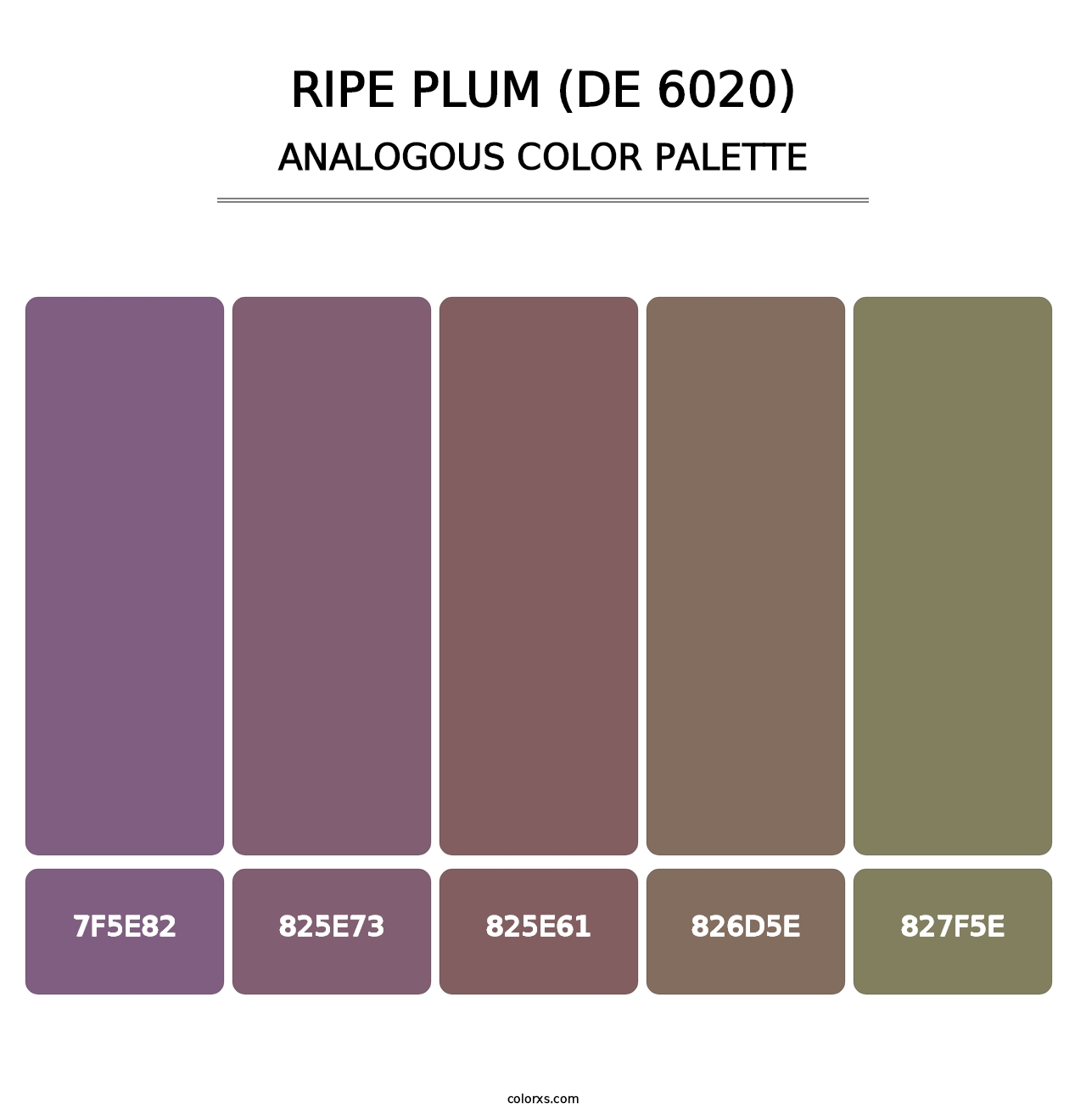 Ripe Plum (DE 6020) - Analogous Color Palette