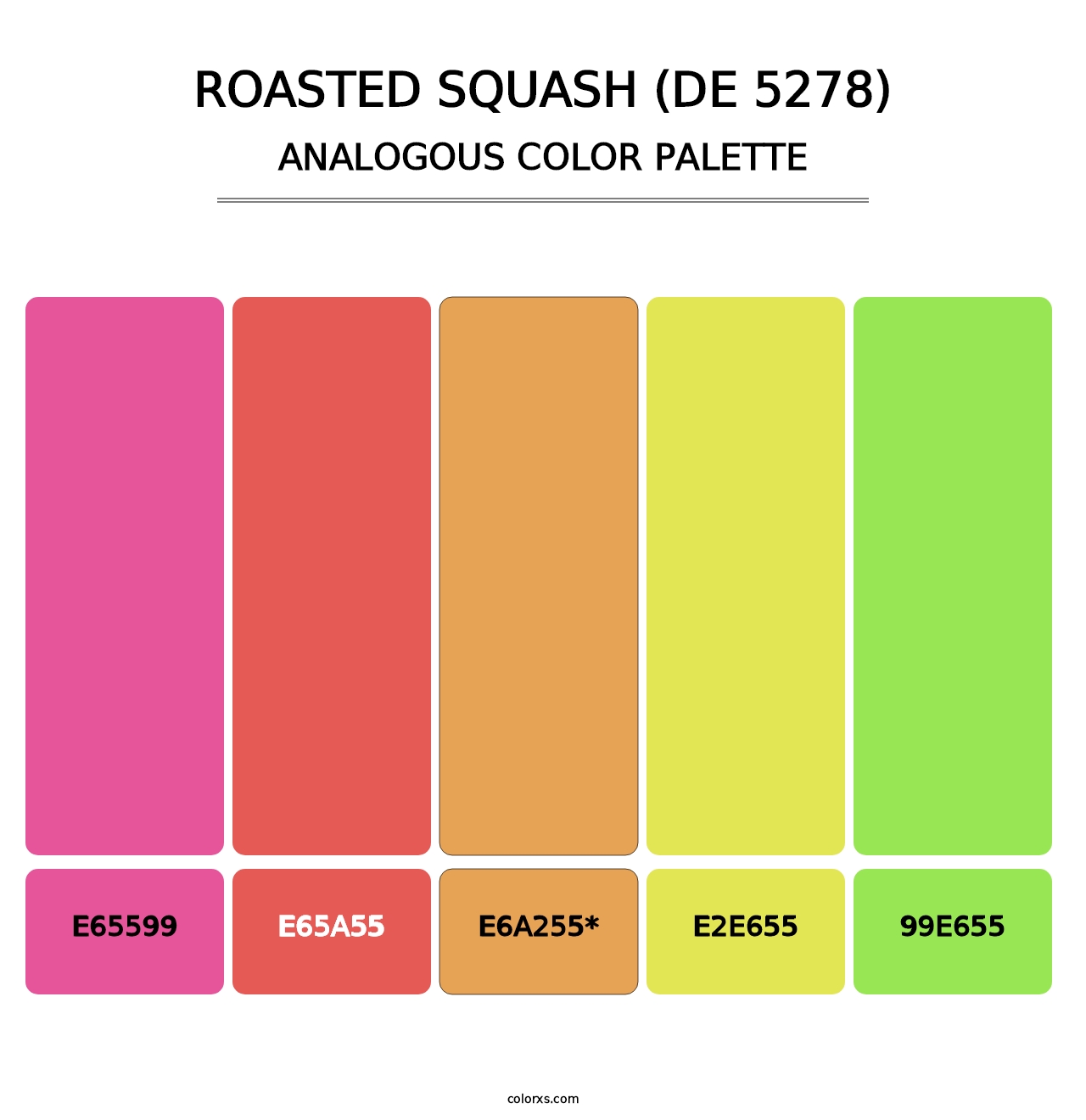 Roasted Squash (DE 5278) - Analogous Color Palette