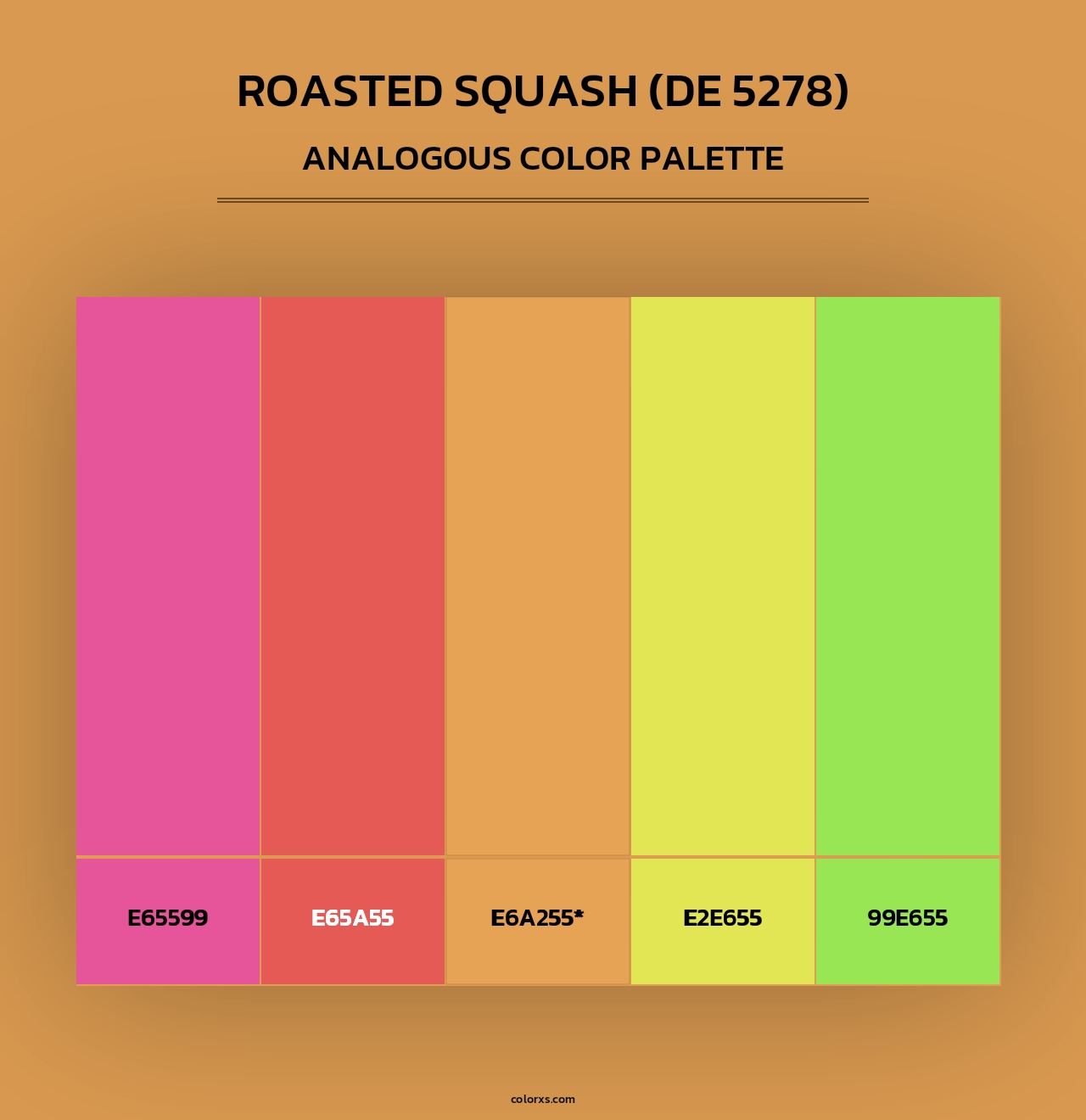 Roasted Squash (DE 5278) - Analogous Color Palette