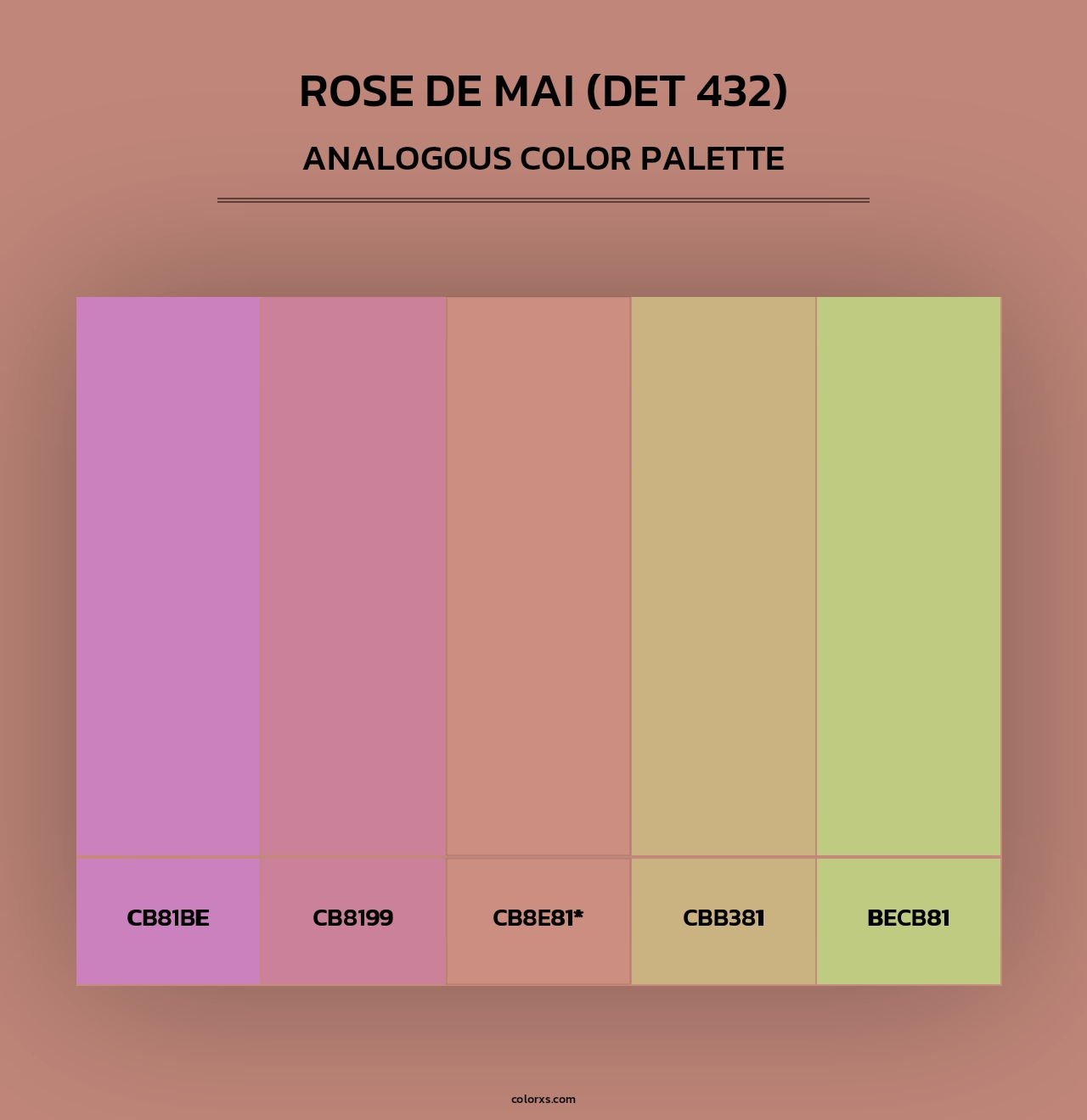 Rose de Mai (DET 432) - Analogous Color Palette