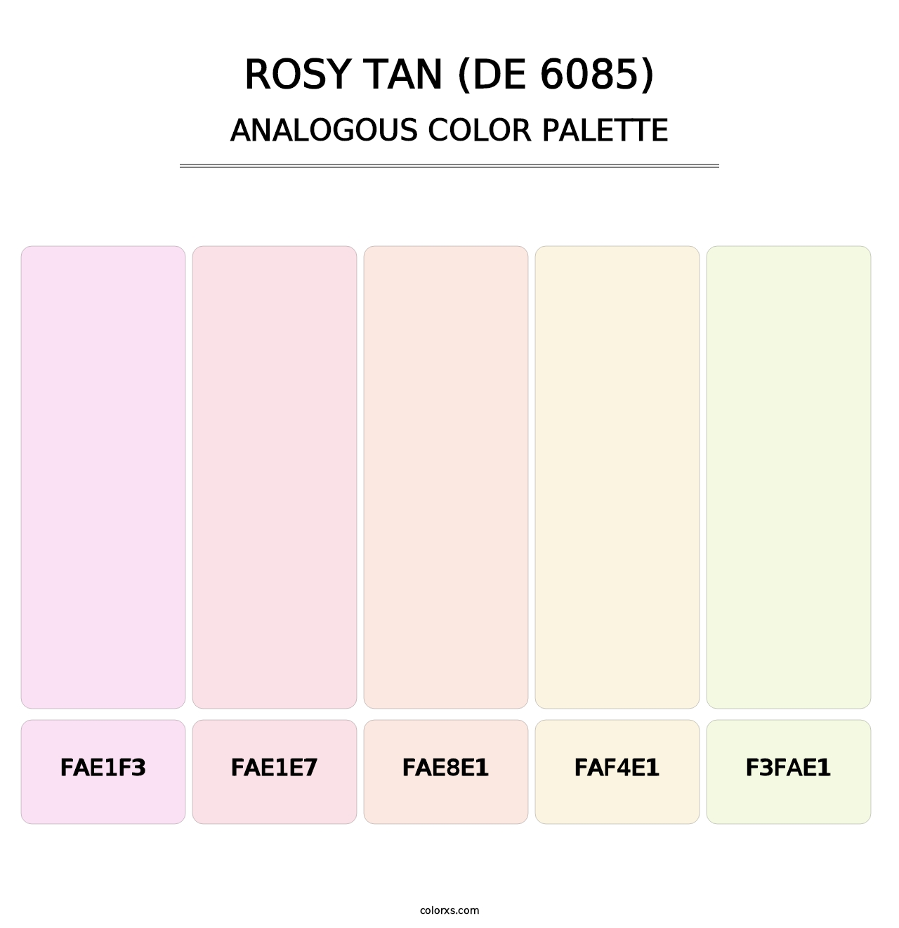 Rosy Tan (DE 6085) - Analogous Color Palette