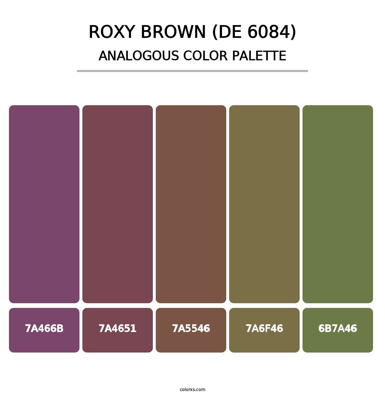Roxy Brown (DE 6084) - Analogous Color Palette