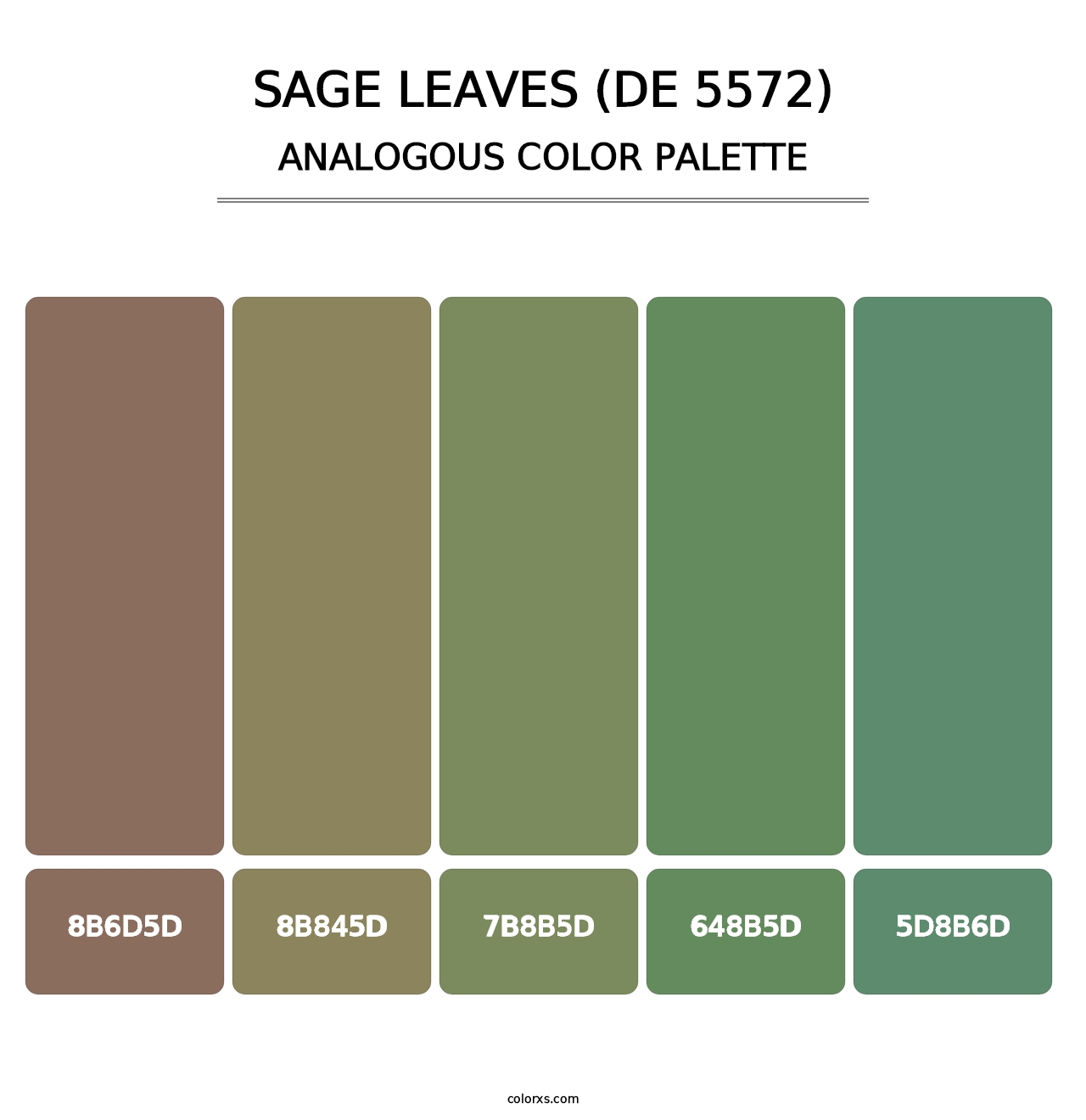 Sage Leaves (DE 5572) - Analogous Color Palette