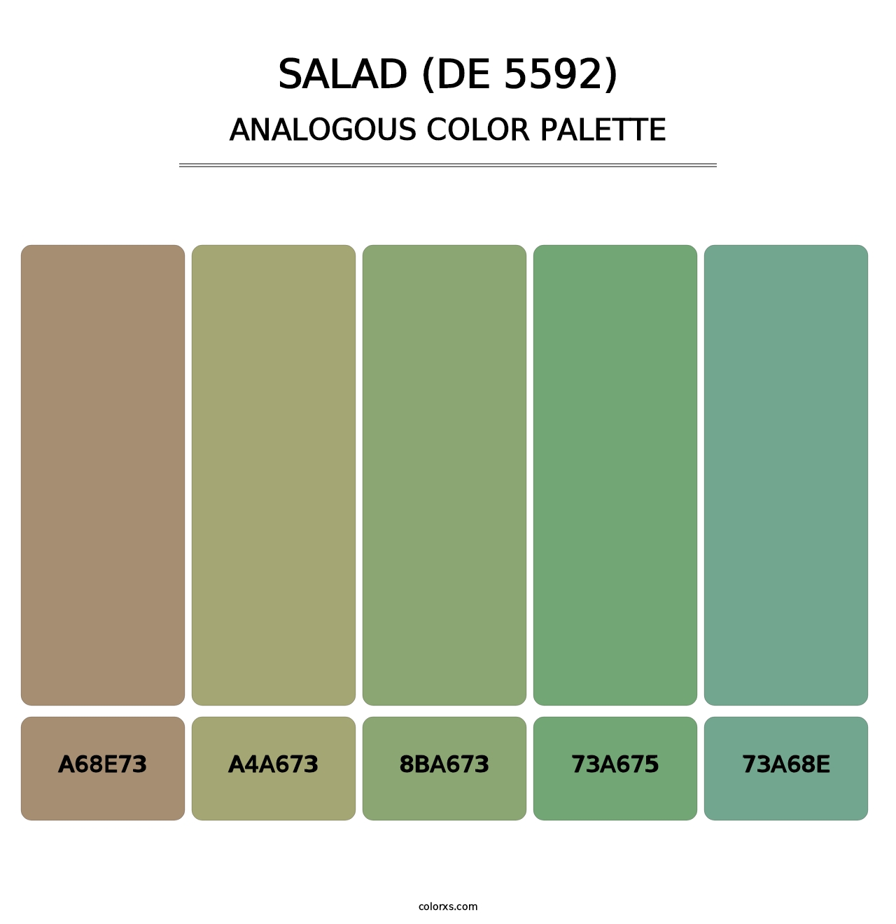Salad (DE 5592) - Analogous Color Palette