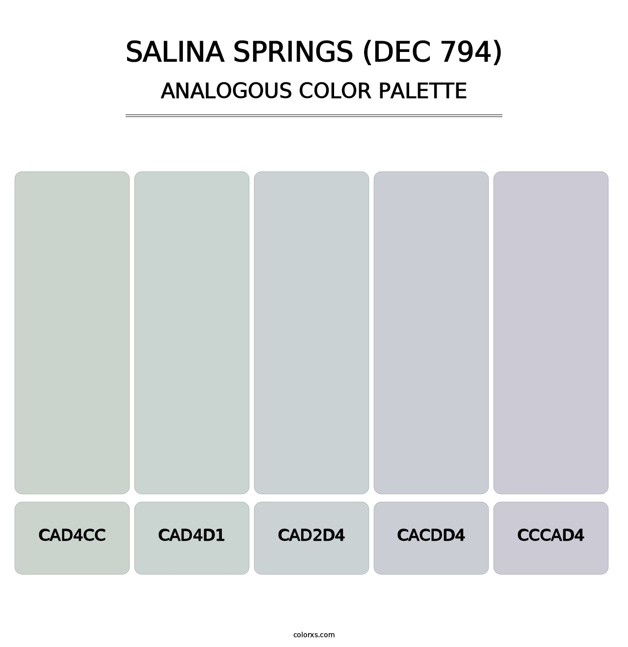 Salina Springs (DEC 794) - Analogous Color Palette