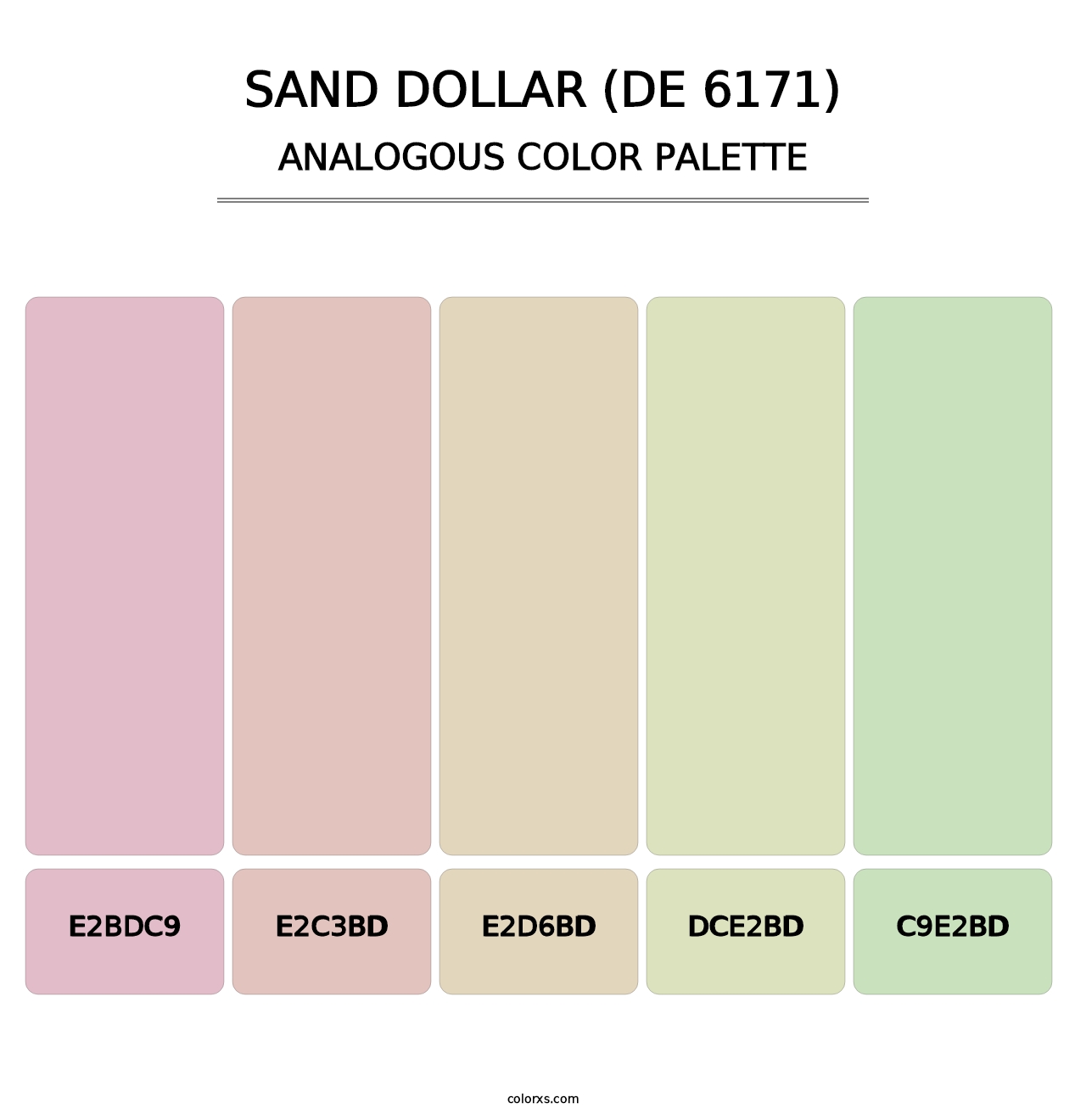 Sand Dollar (DE 6171) - Analogous Color Palette