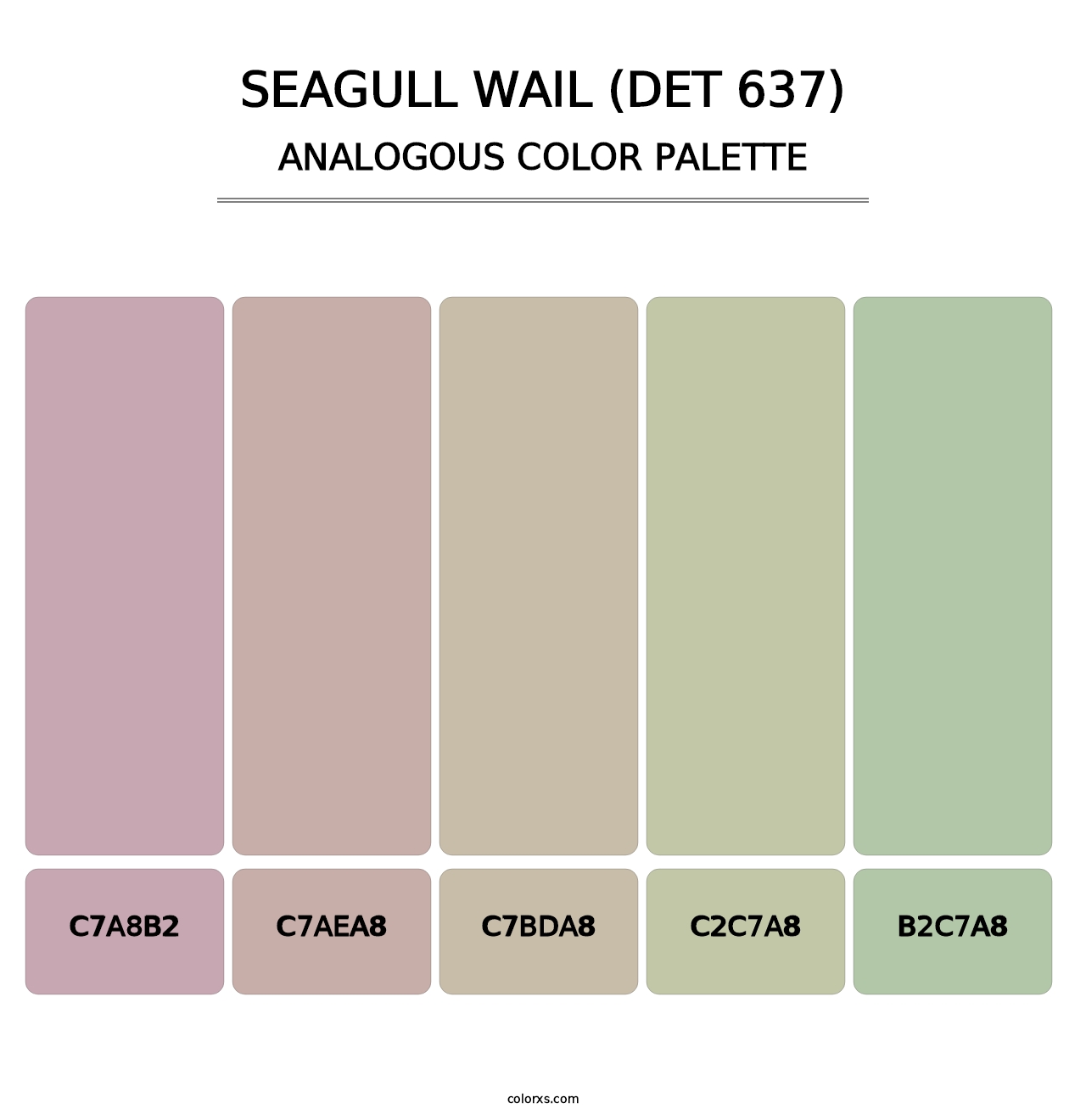 Seagull Wail (DET 637) - Analogous Color Palette