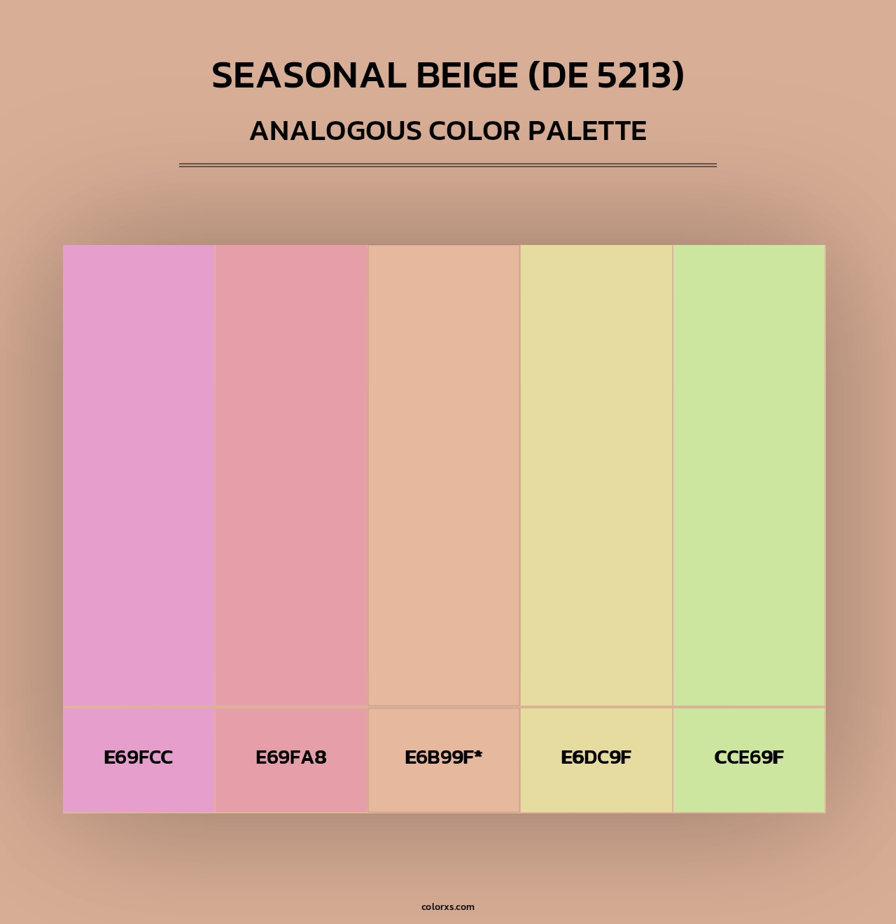 Seasonal Beige (DE 5213) - Analogous Color Palette