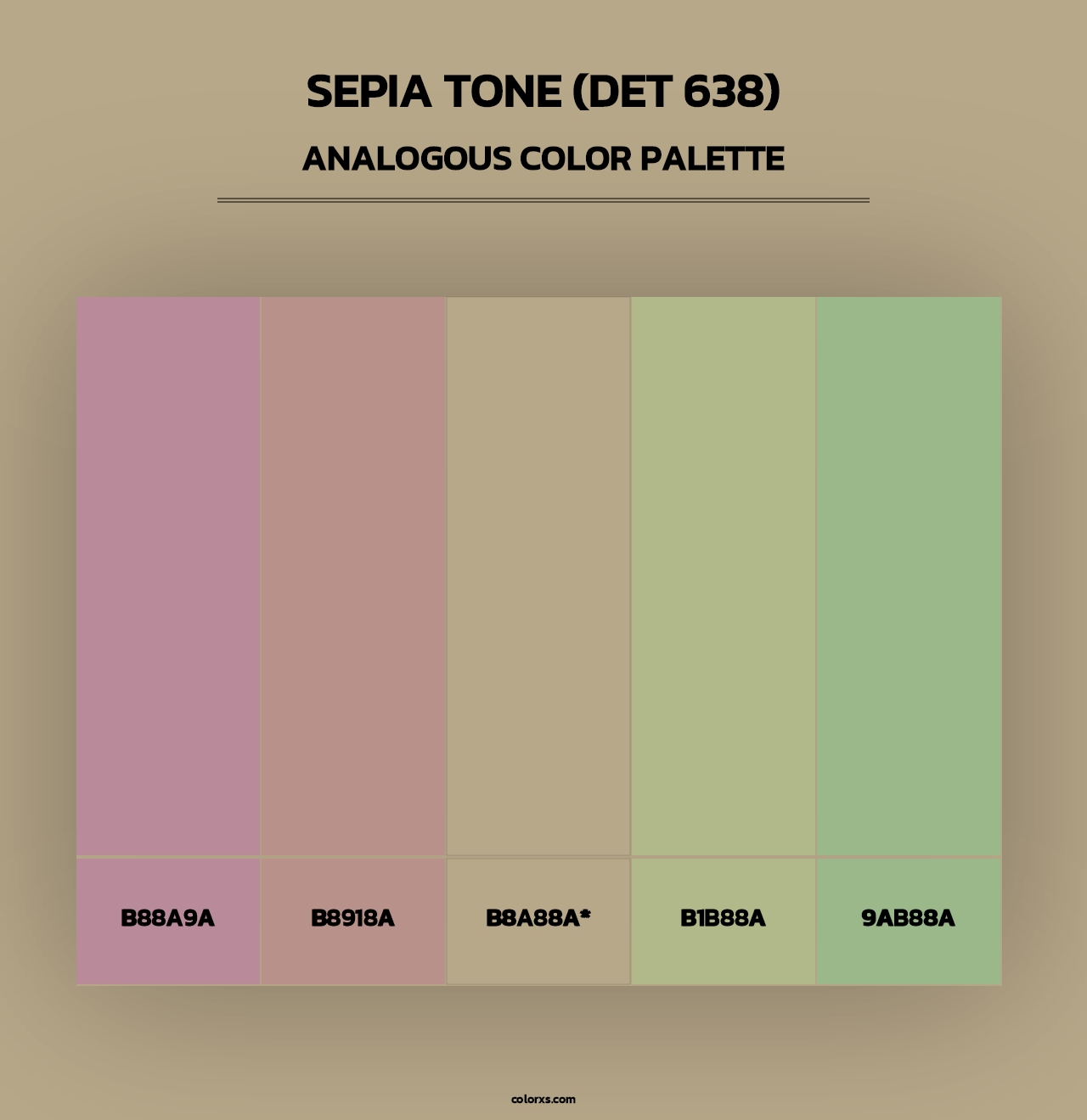 Sepia Tone (DET 638) - Analogous Color Palette