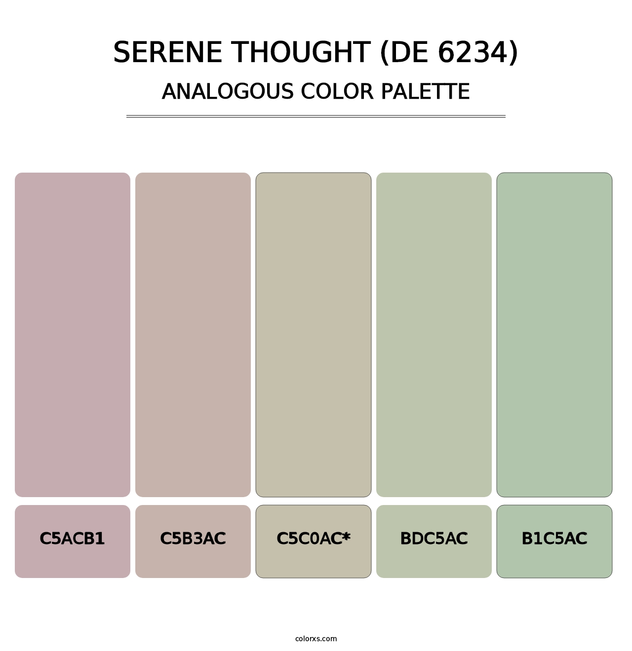 Serene Thought (DE 6234) - Analogous Color Palette