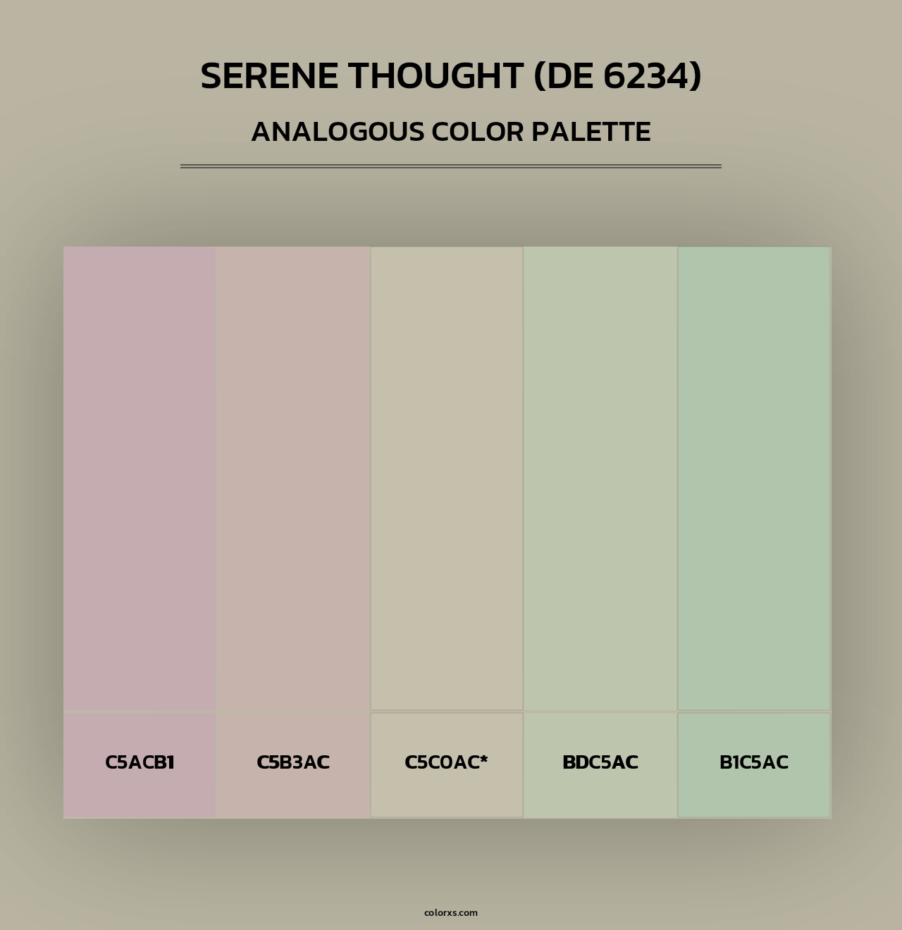 Serene Thought (DE 6234) - Analogous Color Palette