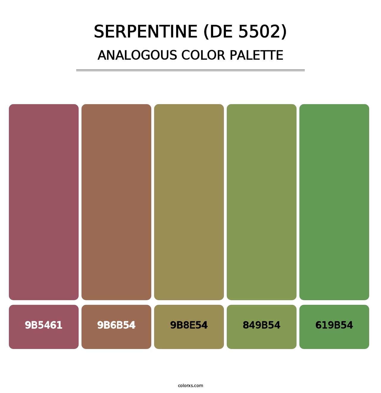Serpentine (DE 5502) - Analogous Color Palette