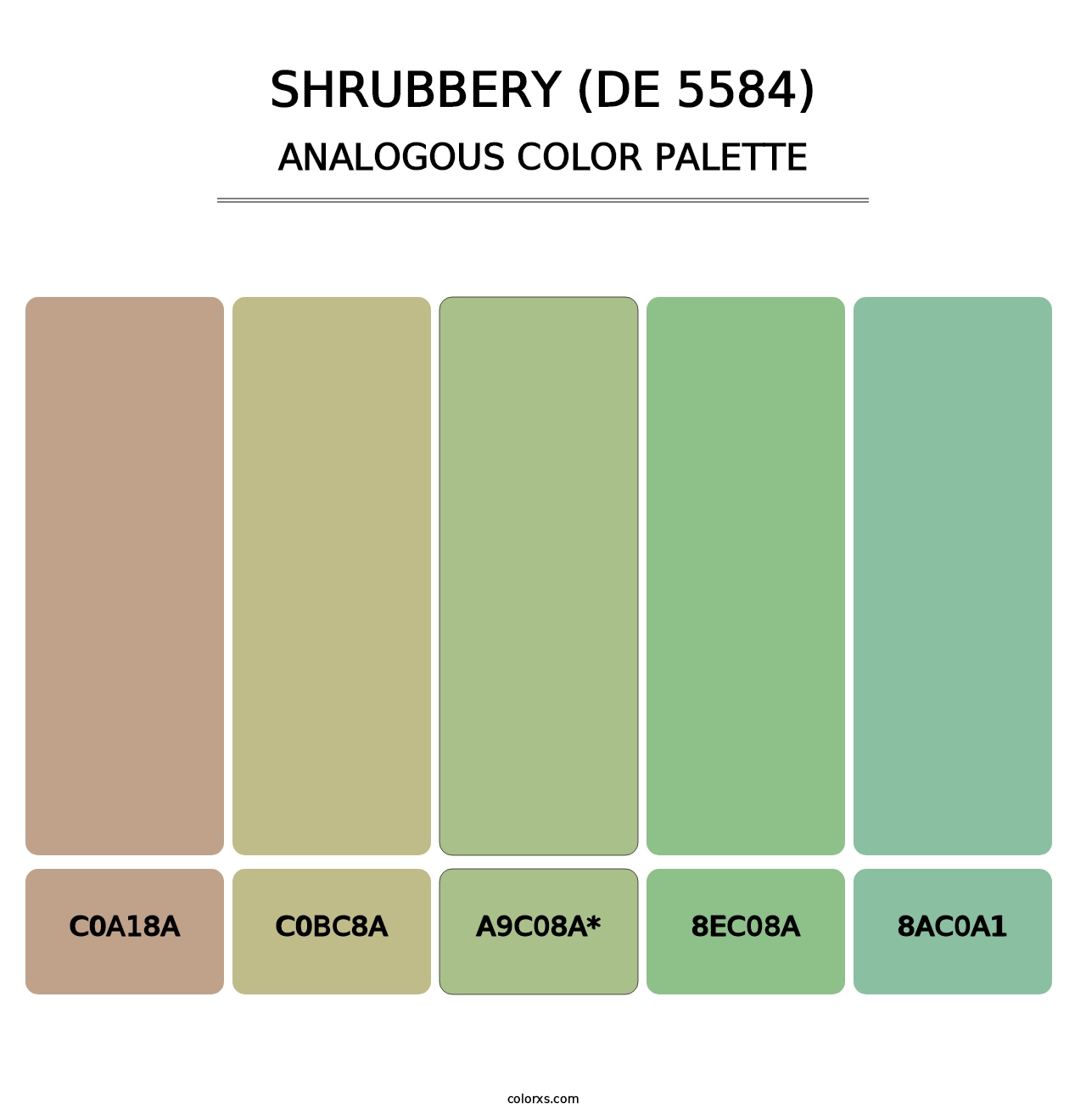 Shrubbery (DE 5584) - Analogous Color Palette