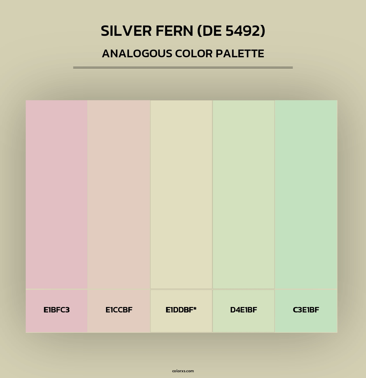 Silver Fern (DE 5492) - Analogous Color Palette