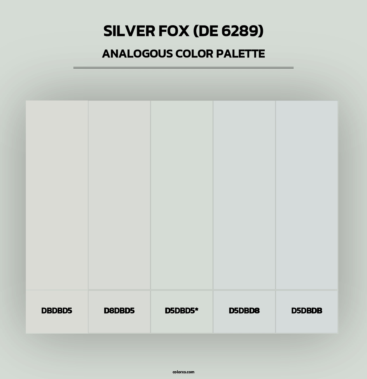 Silver Fox (DE 6289) - Analogous Color Palette