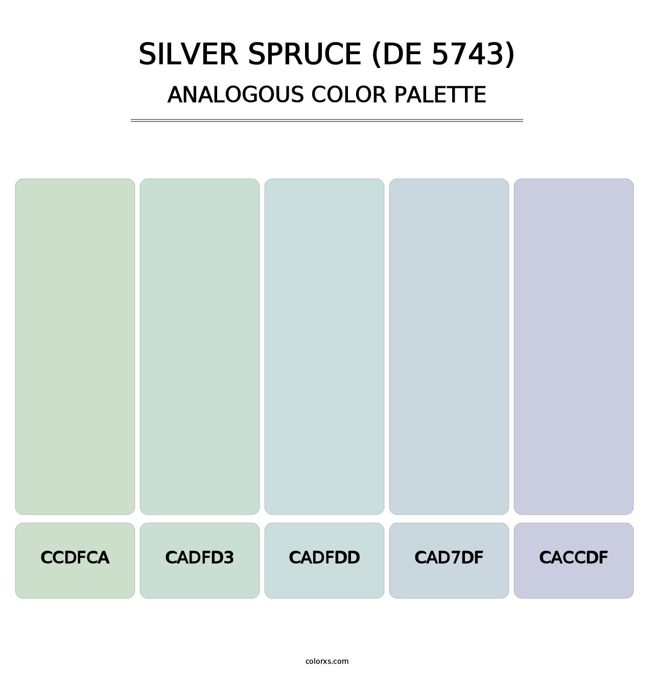 Silver Spruce (DE 5743) - Analogous Color Palette