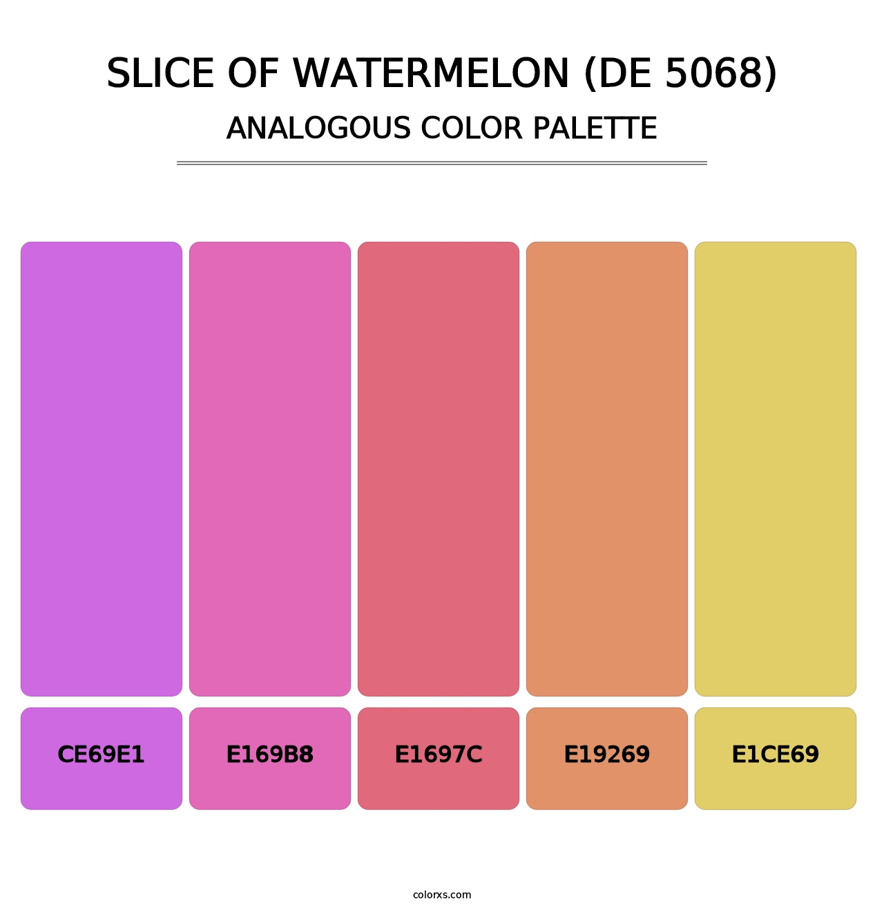 Slice of Watermelon (DE 5068) - Analogous Color Palette