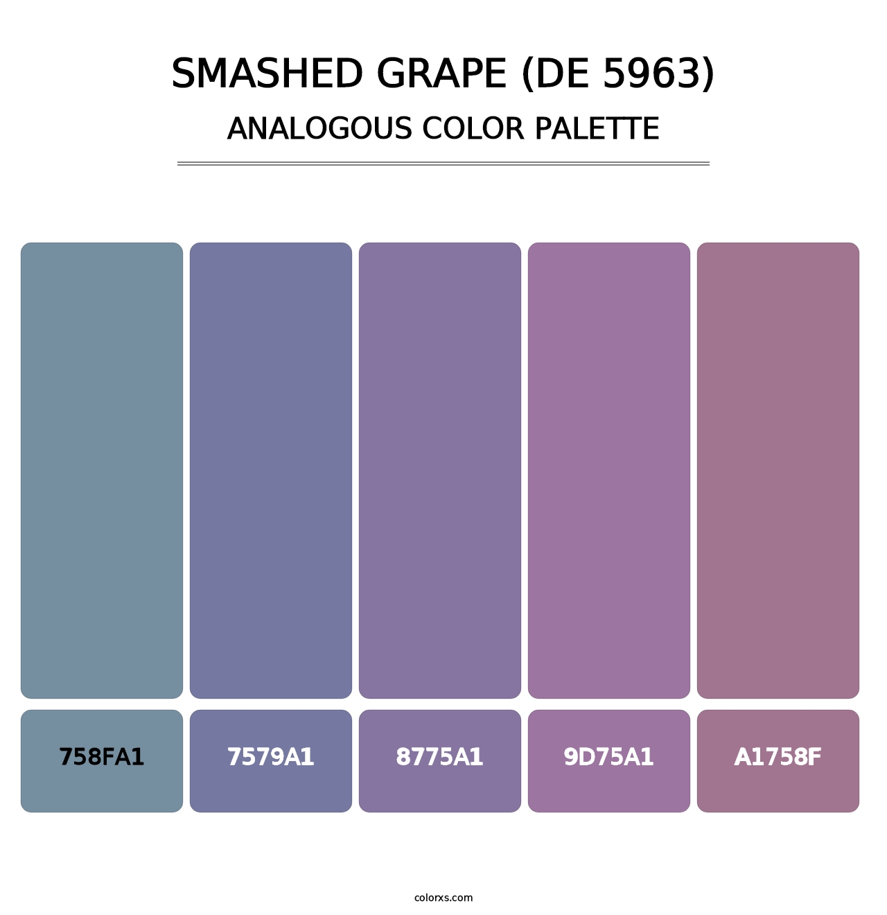 Smashed Grape (DE 5963) - Analogous Color Palette